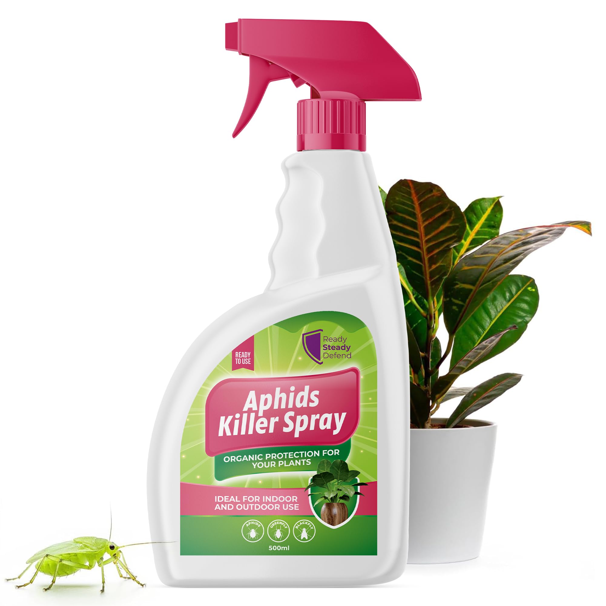 fungus gnats insecticidal soap Aphids Killer Spray 500ml – Insecticidal Soap Spray for Plants – Kills