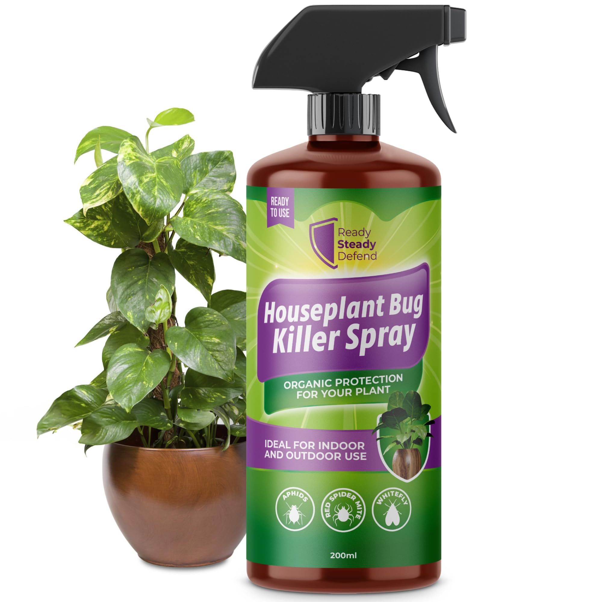 house plant insect killer House Plant Bug Killer Spray 200ml
