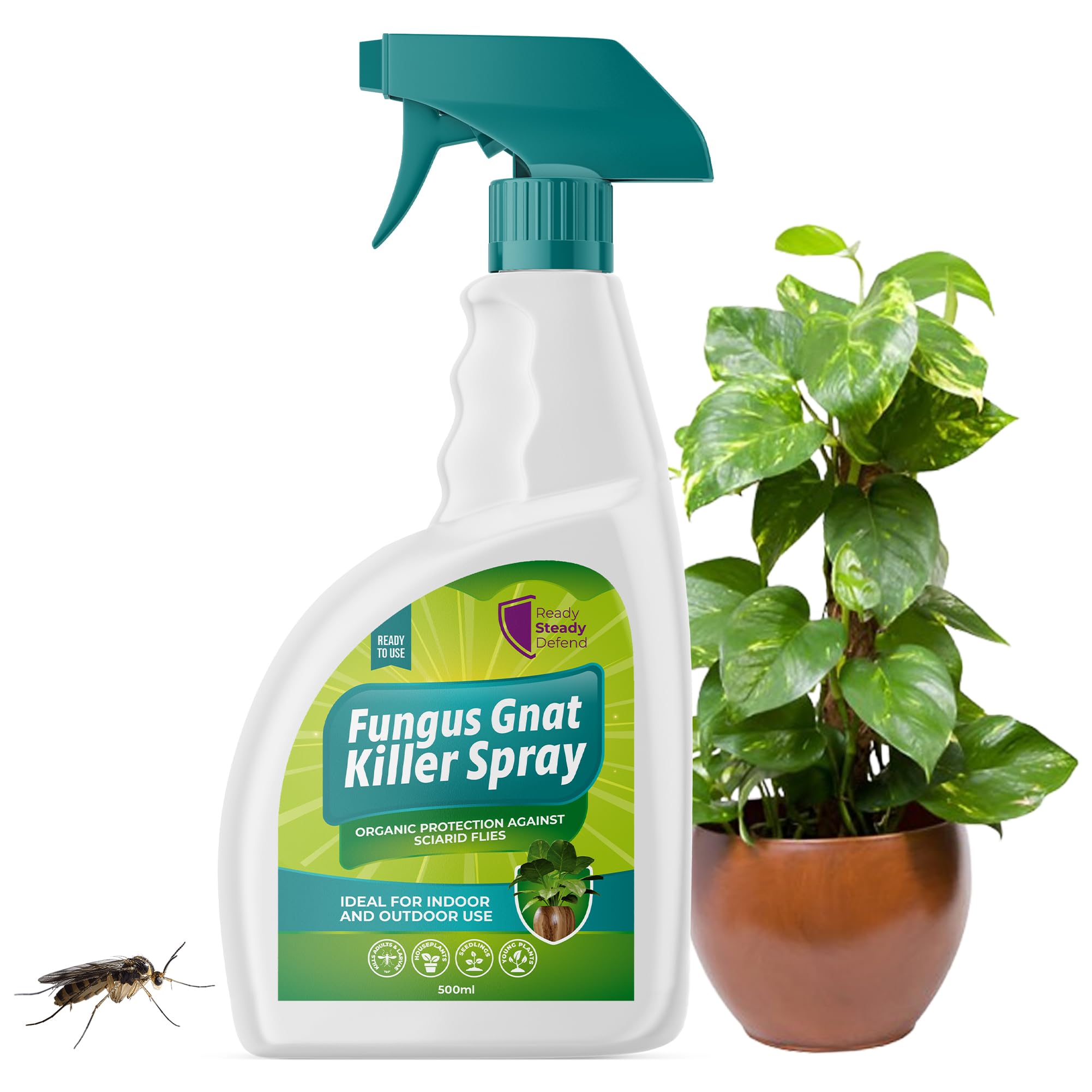 fungus spray for indoor plants Fungus Gnat Killer Spray 500ml