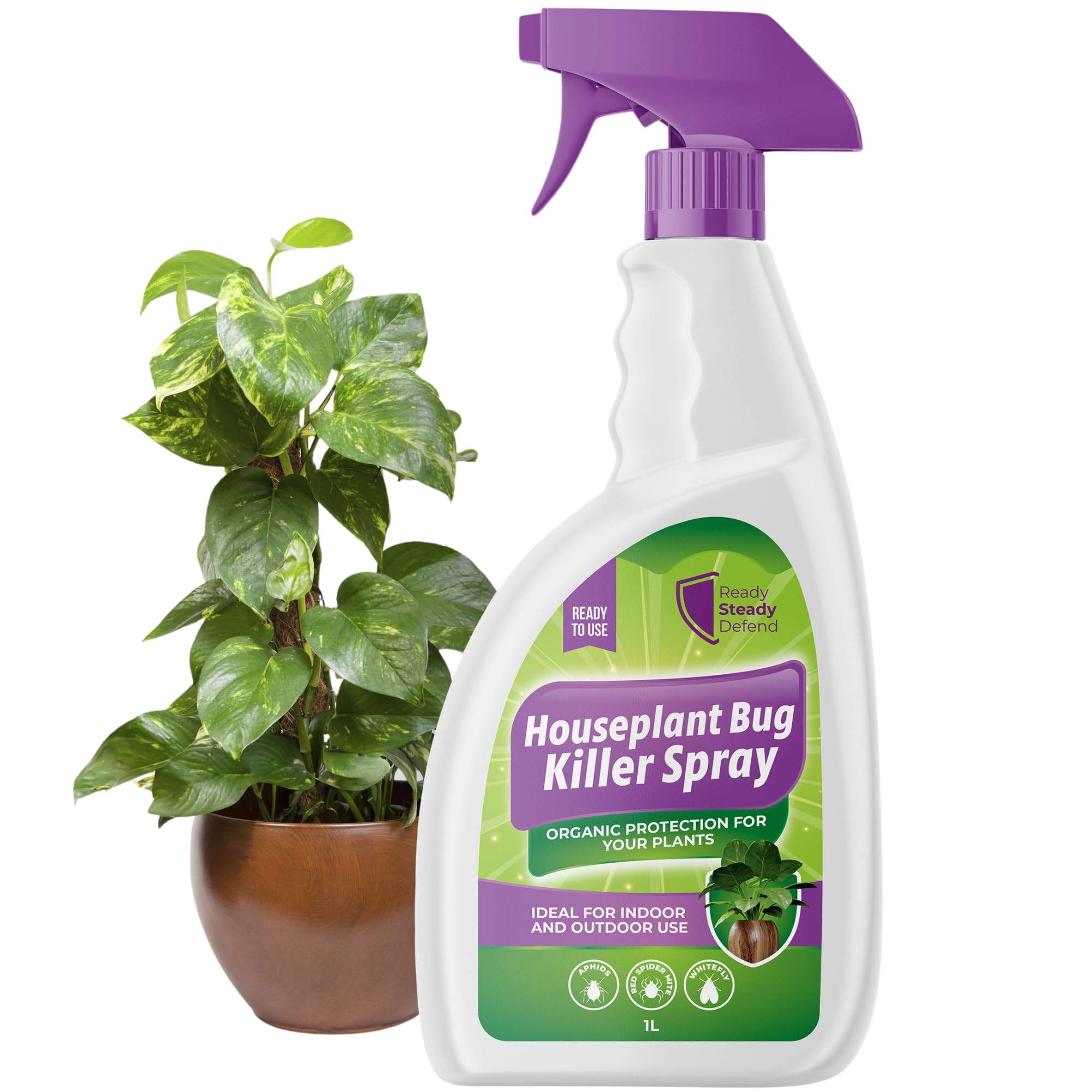 killer house plant House Plant Bug Killer Spray