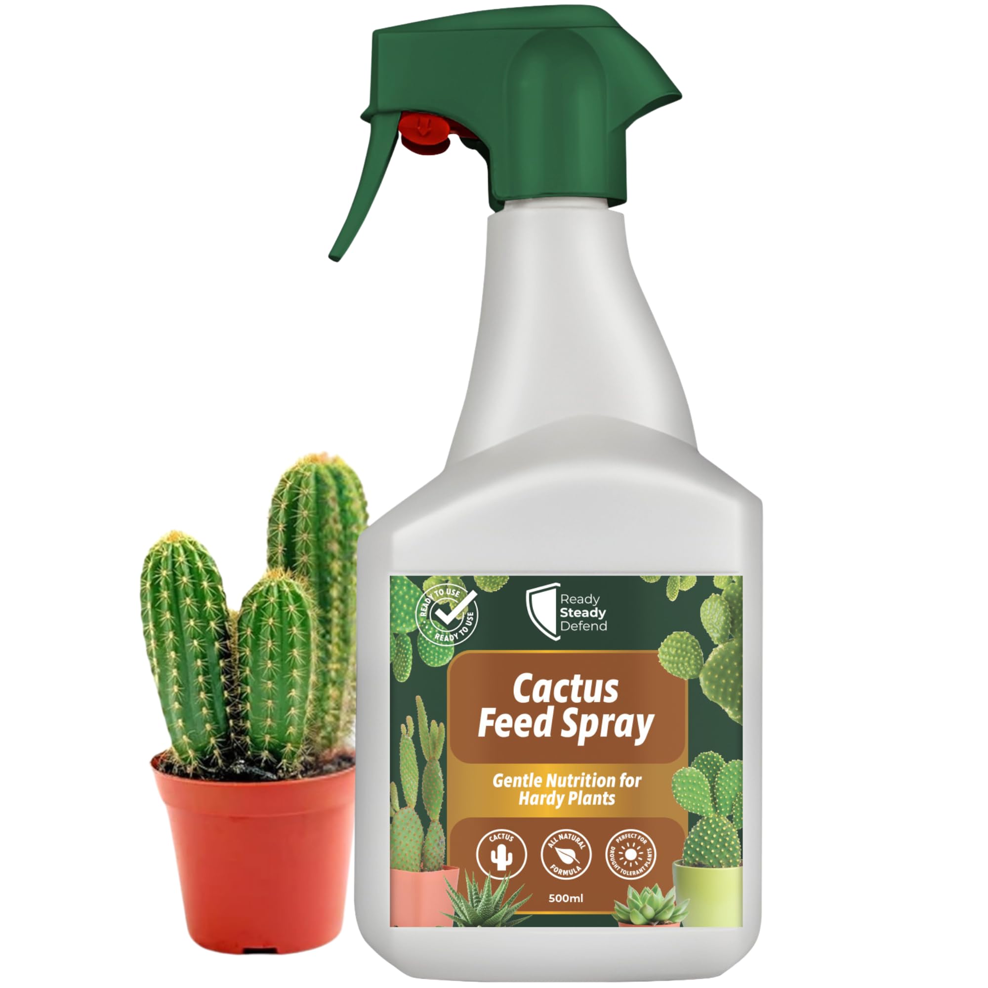 succulent spray for bugs Cactus Feed Spray 500ml