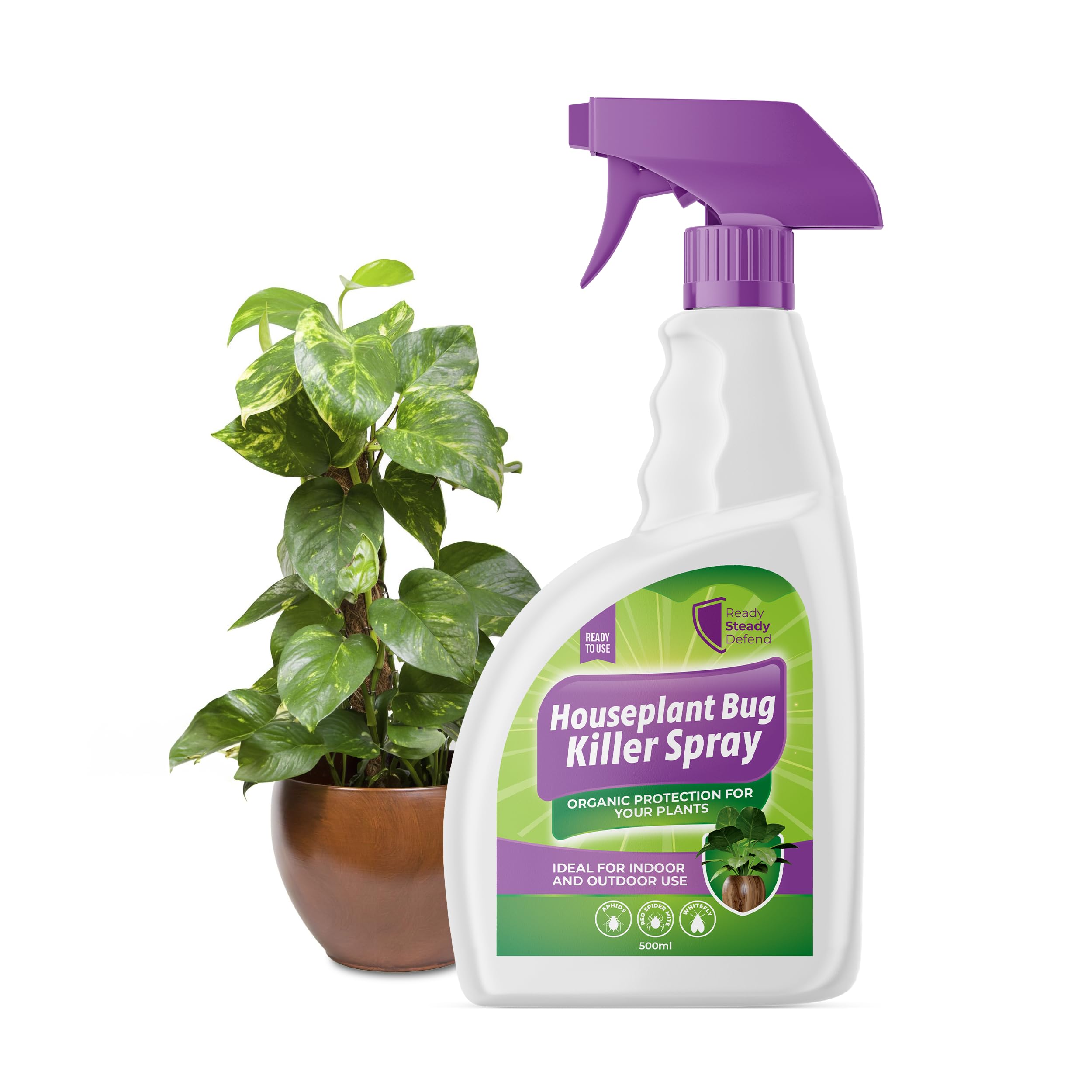 House Plant Bug Killer Spray