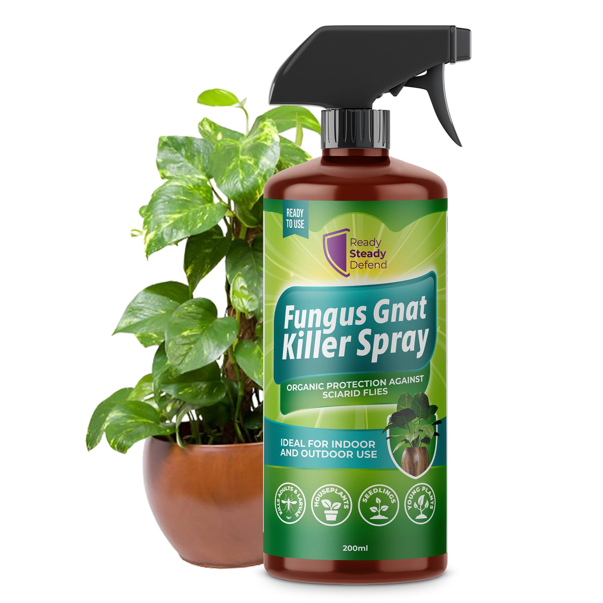gnat spray indoor plants Fungus Gnat Killer Spray 200ml for Houseplants Seedlings and Young Pla