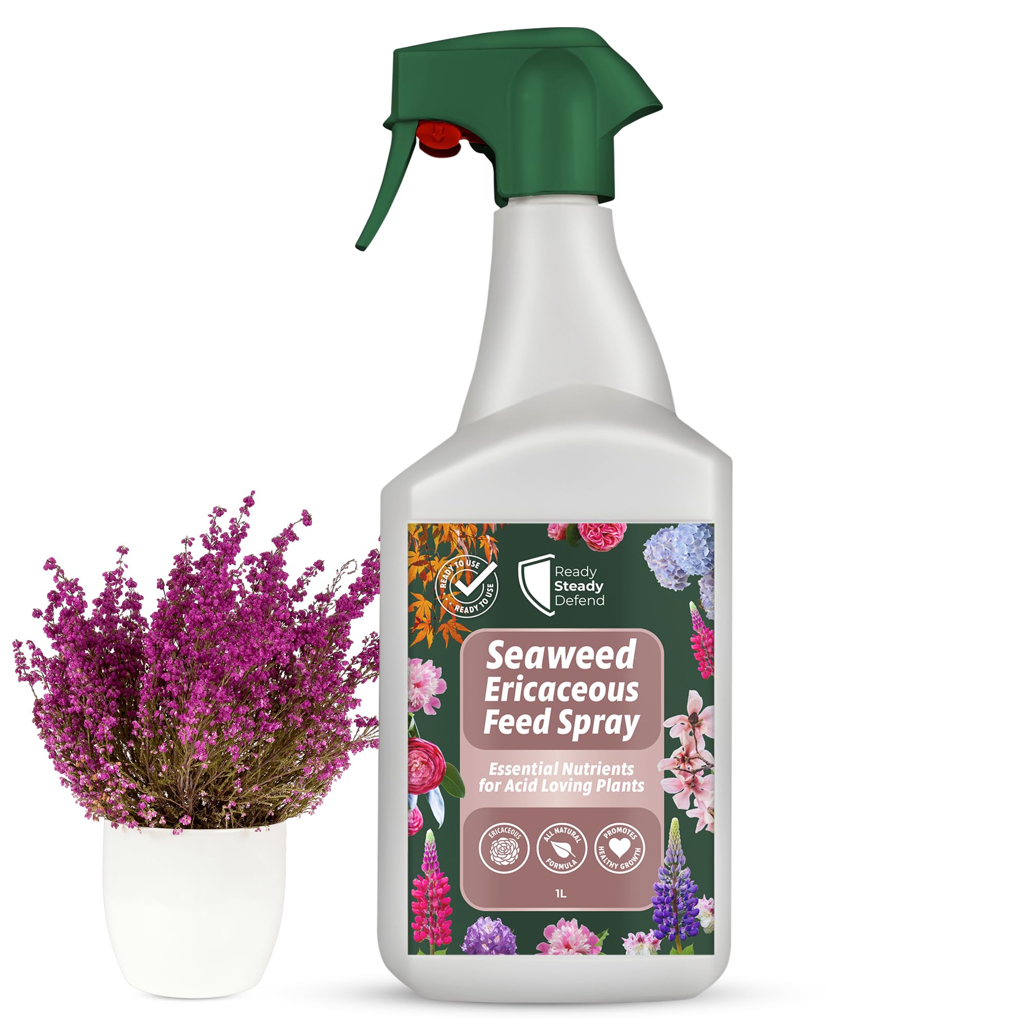 Ericaceous Feed Spray 1L | Organic Liquid Fertiliser for Azaleas, Rhod