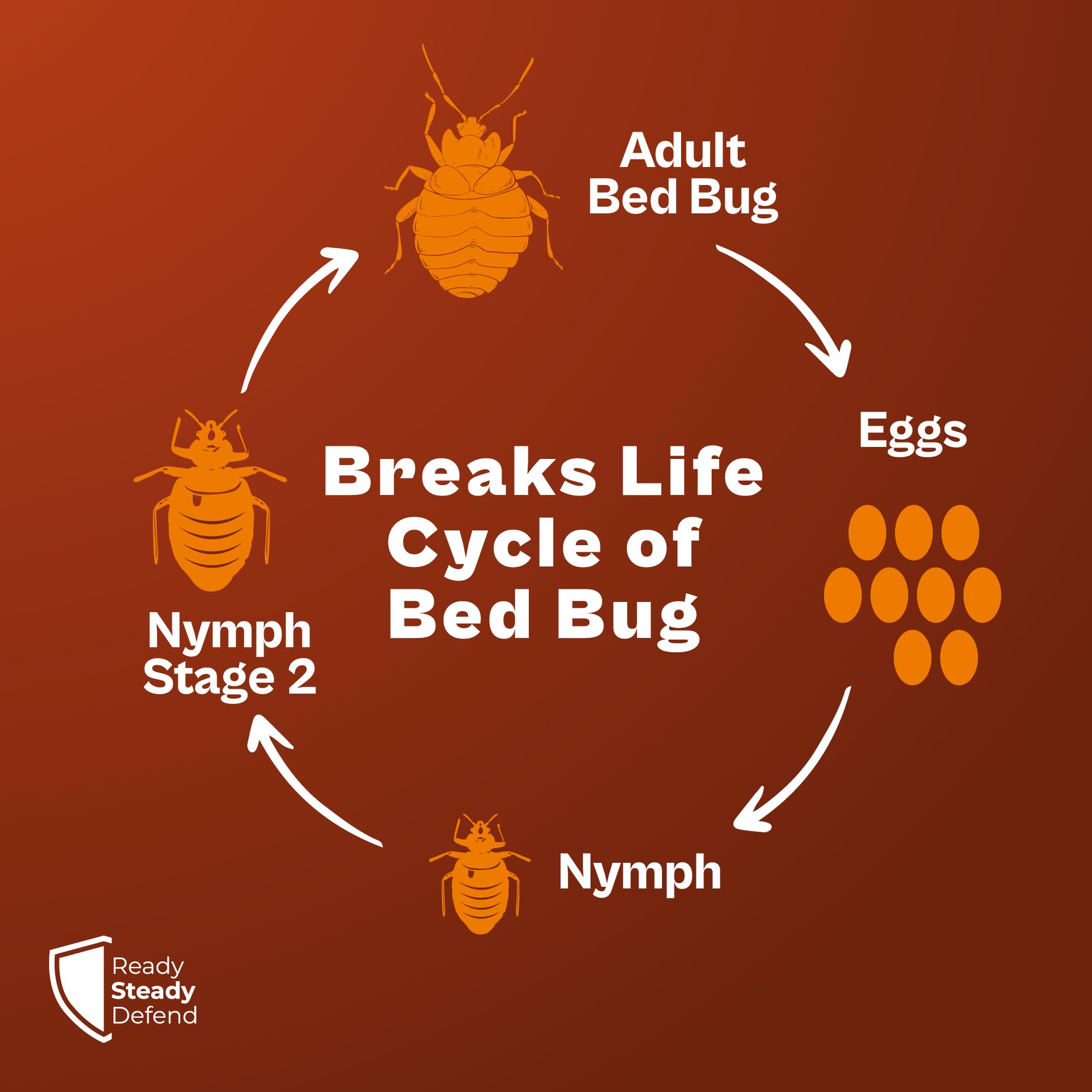 Bed Bug Killer Powder 300g - Main Image