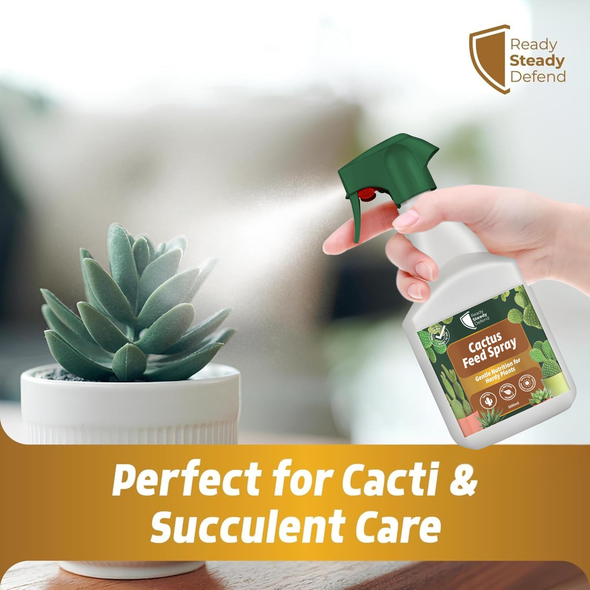 spray for succulents Cactus Feed Spray 500ml