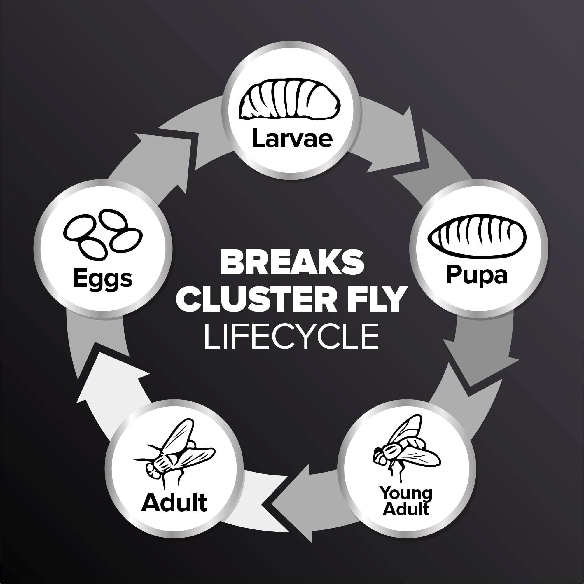 Cluster Fly Smoke Bombs 4 Pack cluster-fly-smoke-bombs-4-pack