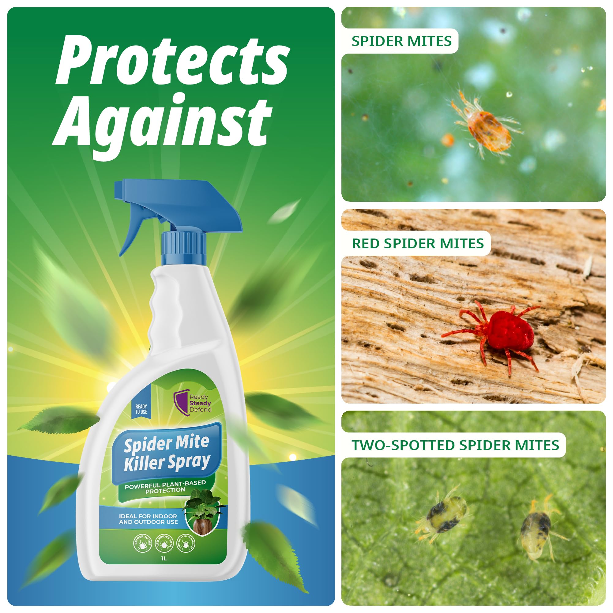 spider mite treatment for outdoor plants Spider Mite Killer Spray for Plants 1L – Natural Insecticidal Soap – K