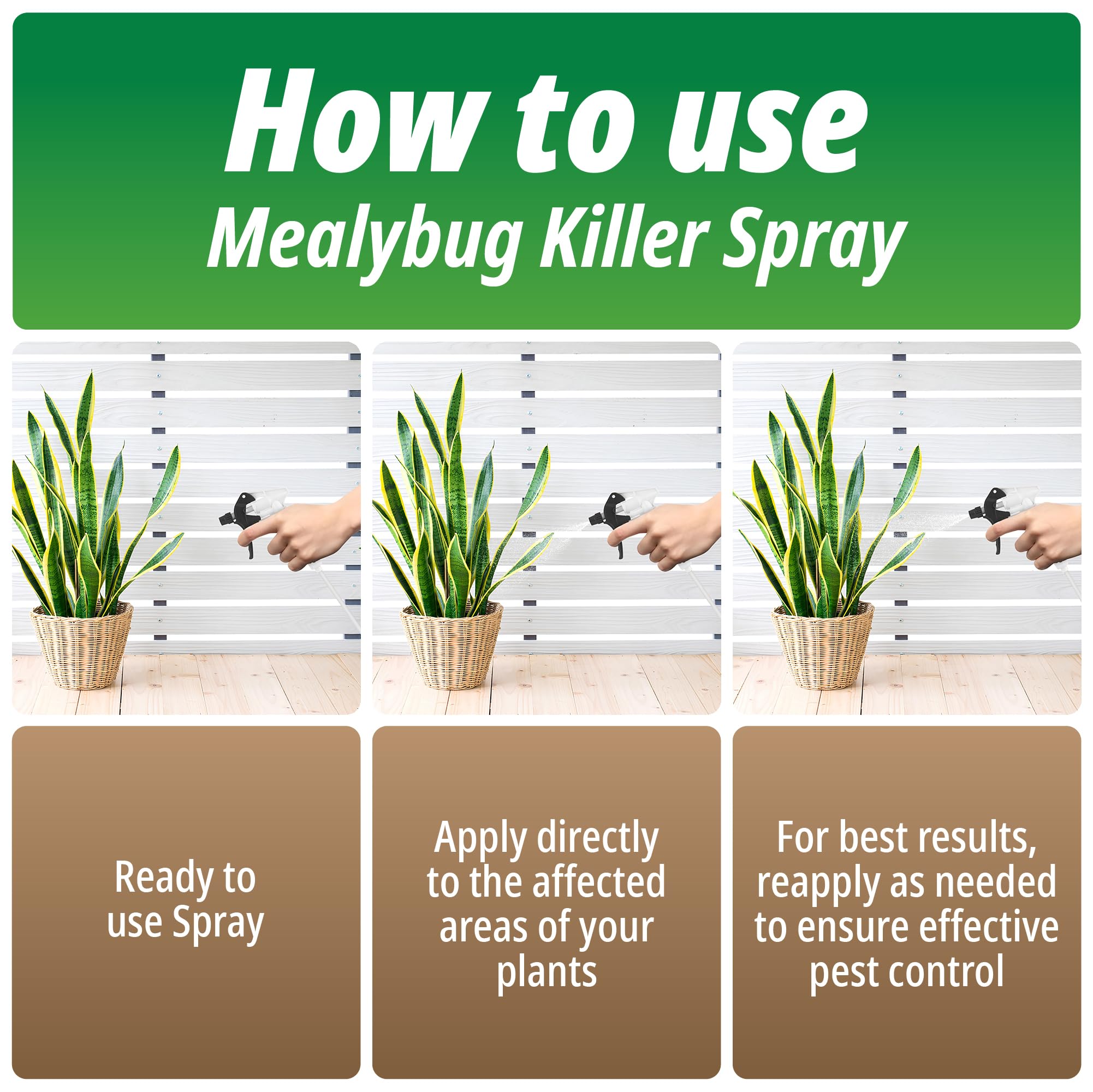 mealybug spray for indoor plants Mealybug Killer Spray 2.5L – Extra-Strength Bug Spray with Insecticida