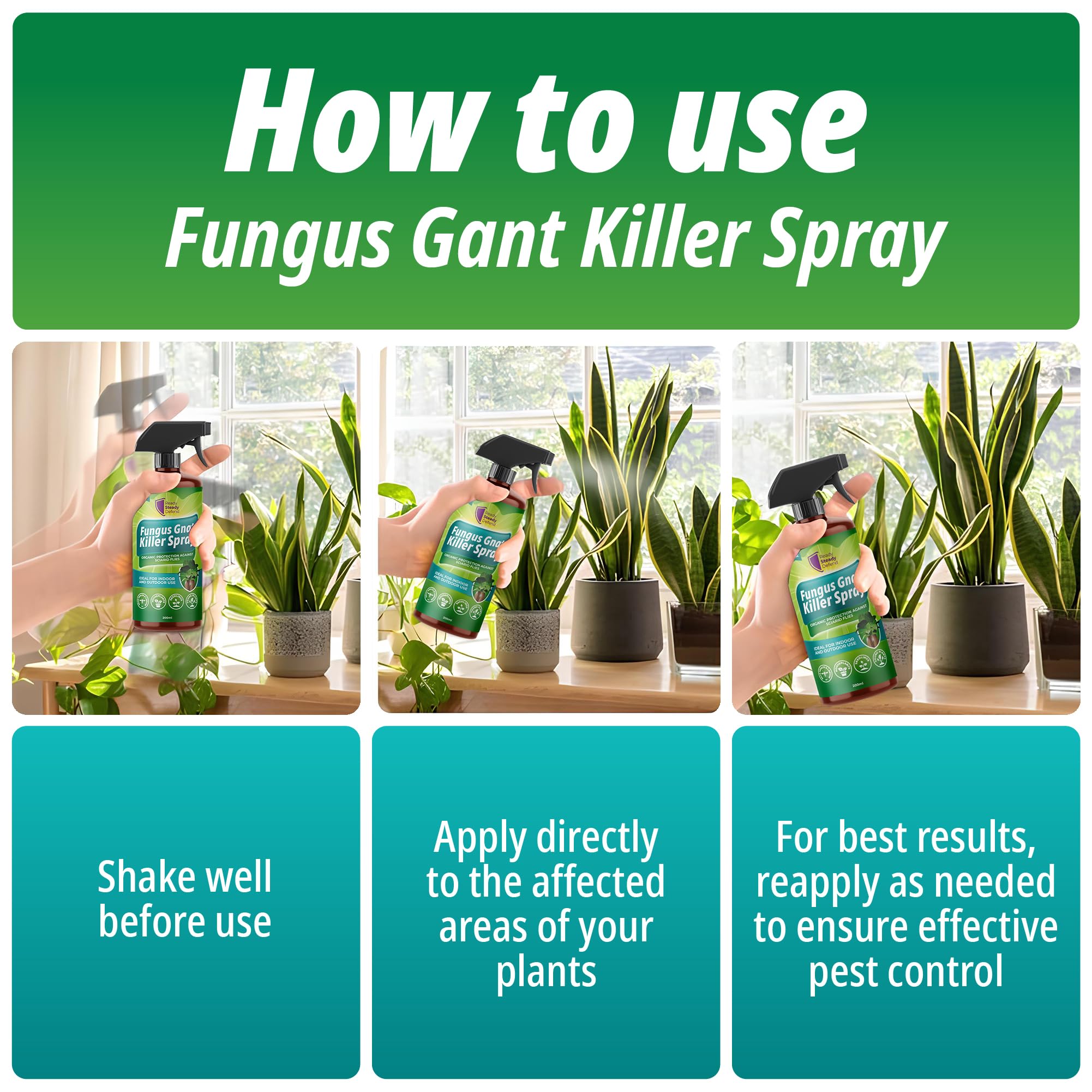 house plant flies spray Fungus Gnat Killer Spray 200ml for Houseplants Seedlings and Young Pla