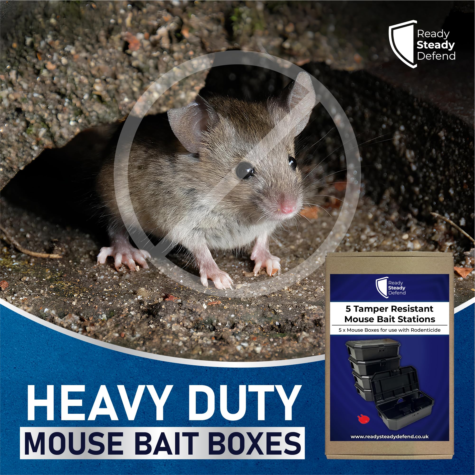 Basic Mouse Box Empty Mouse Boxes - Pack of 5