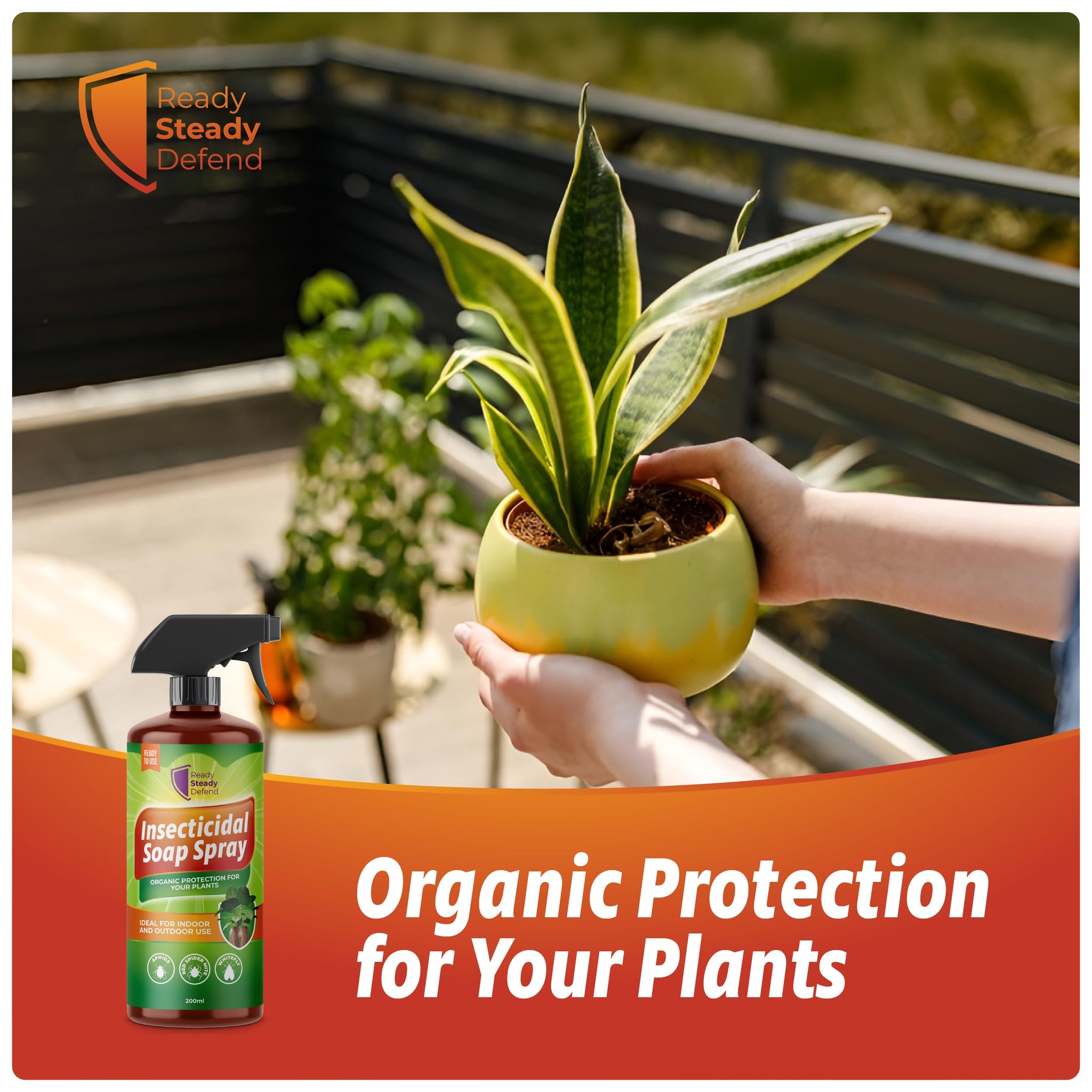 insecticidal soap uk Insecticidal Soap Spray for Plants 200ml