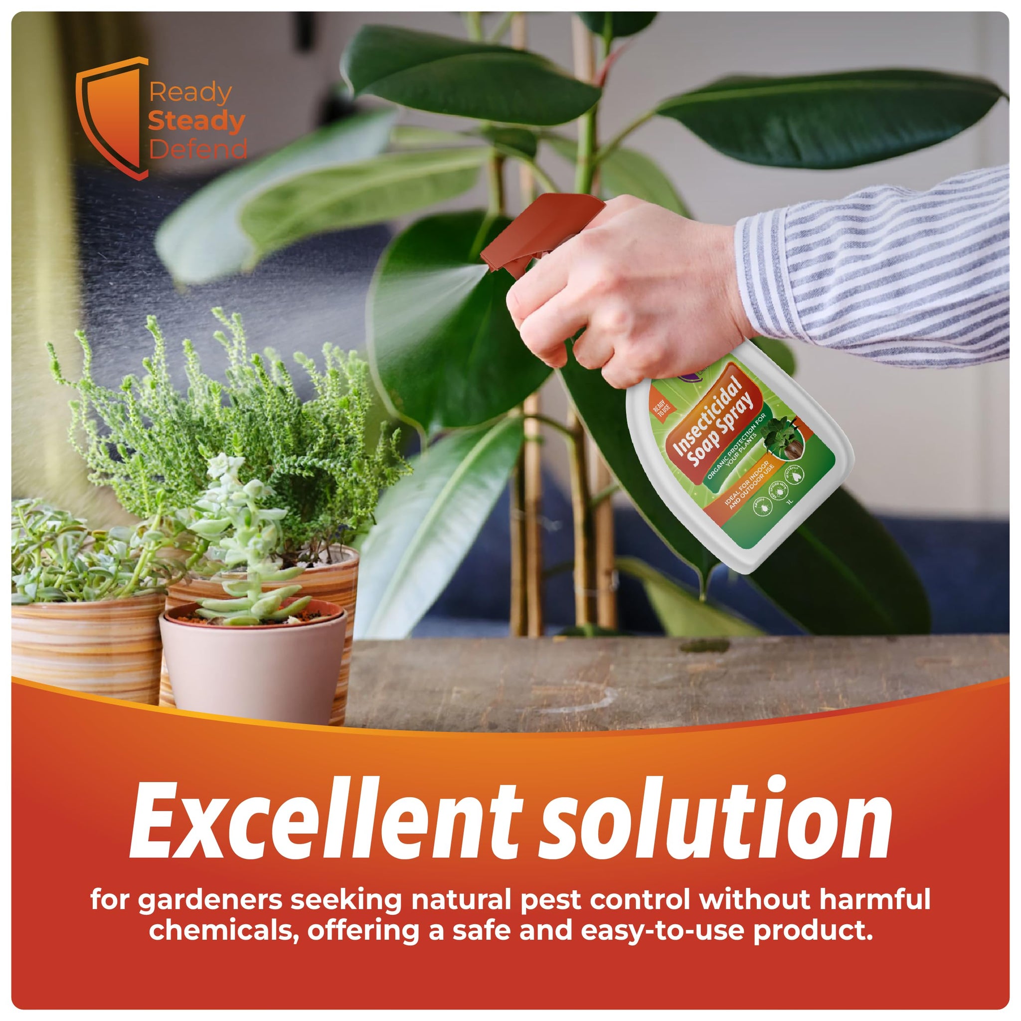 insecticidal soap safe for plants Insecticidal Soap Spray for Plants