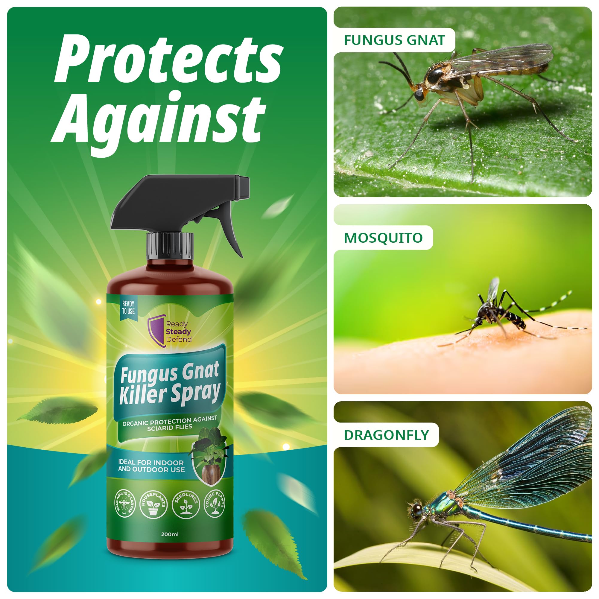 fungus gnats insecticidal soap Fungus Gnat Killer Spray