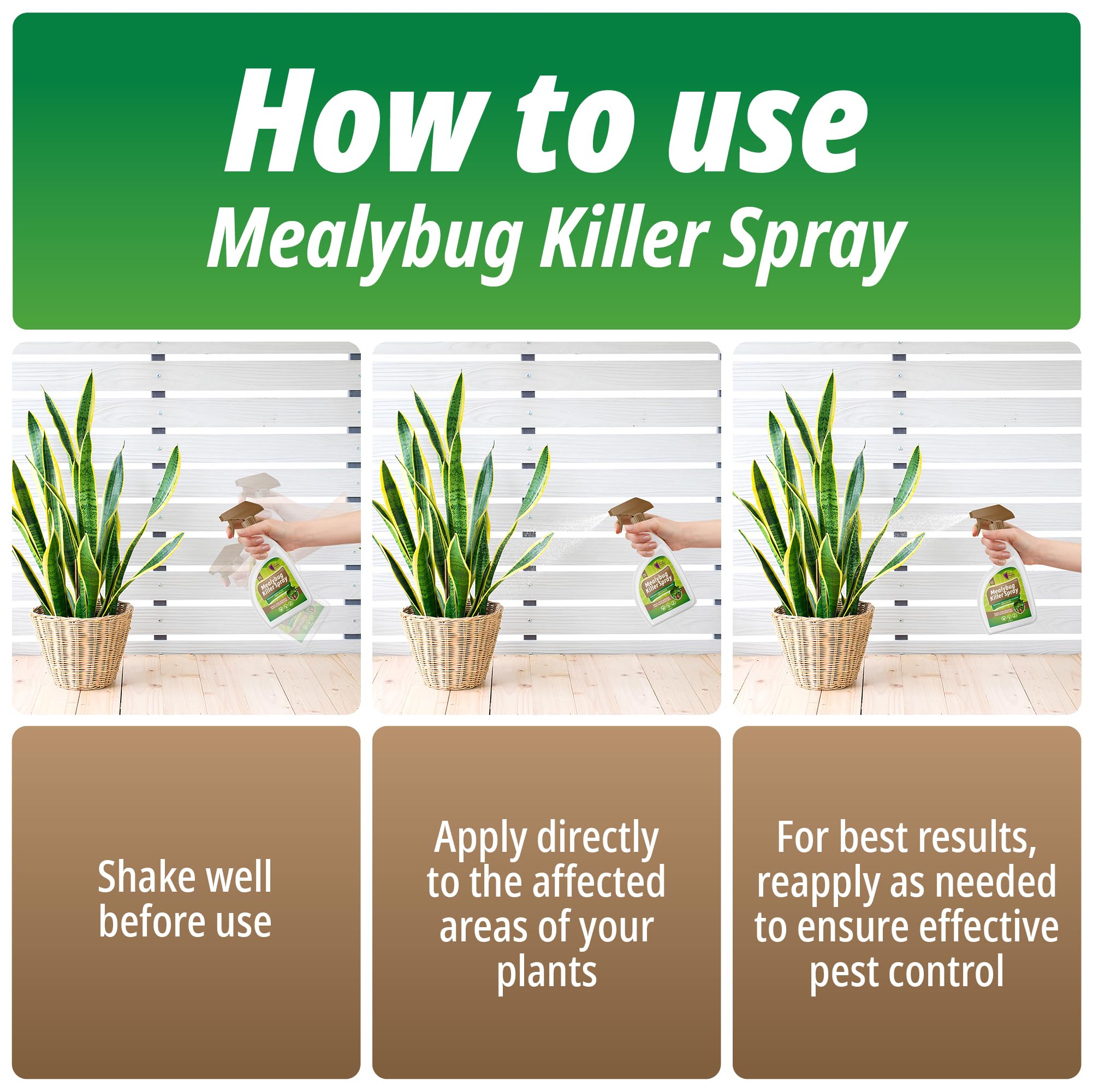 best insect spray for indoor plants Mealybug Killer Spray 500ml