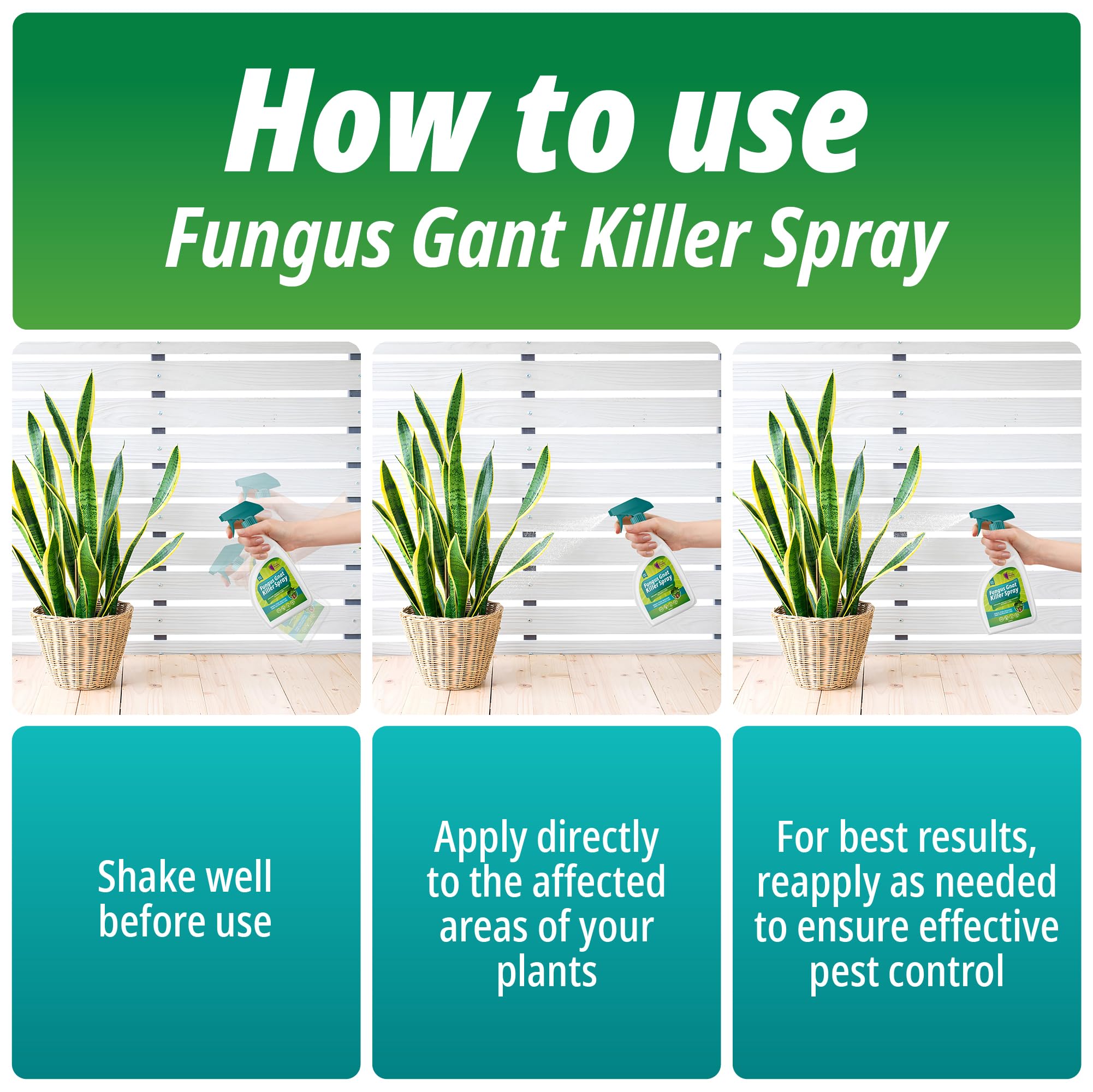 best gnat spray for indoor plants Fungus Gnat Killer Spray 500ml