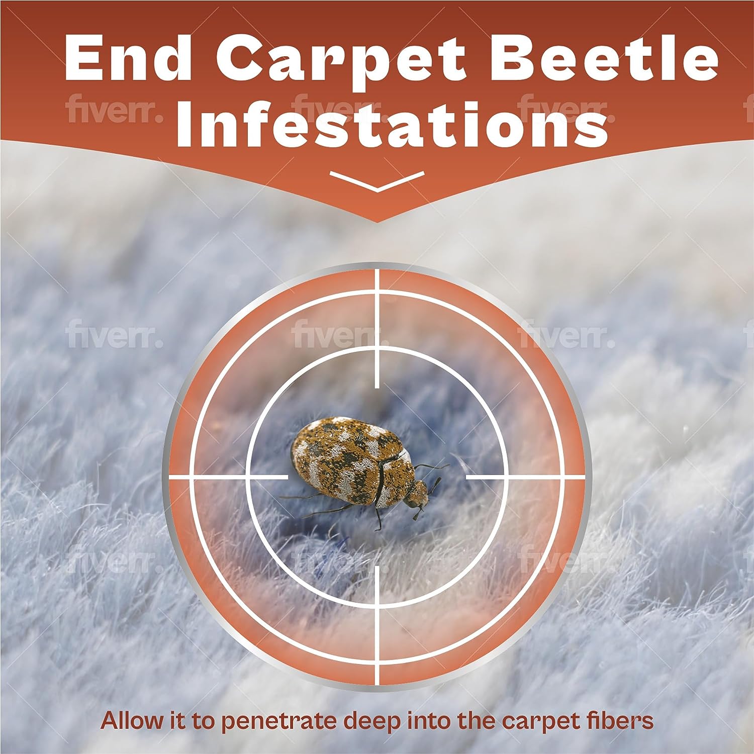 Carpet Beetle Killer Powder (300g)