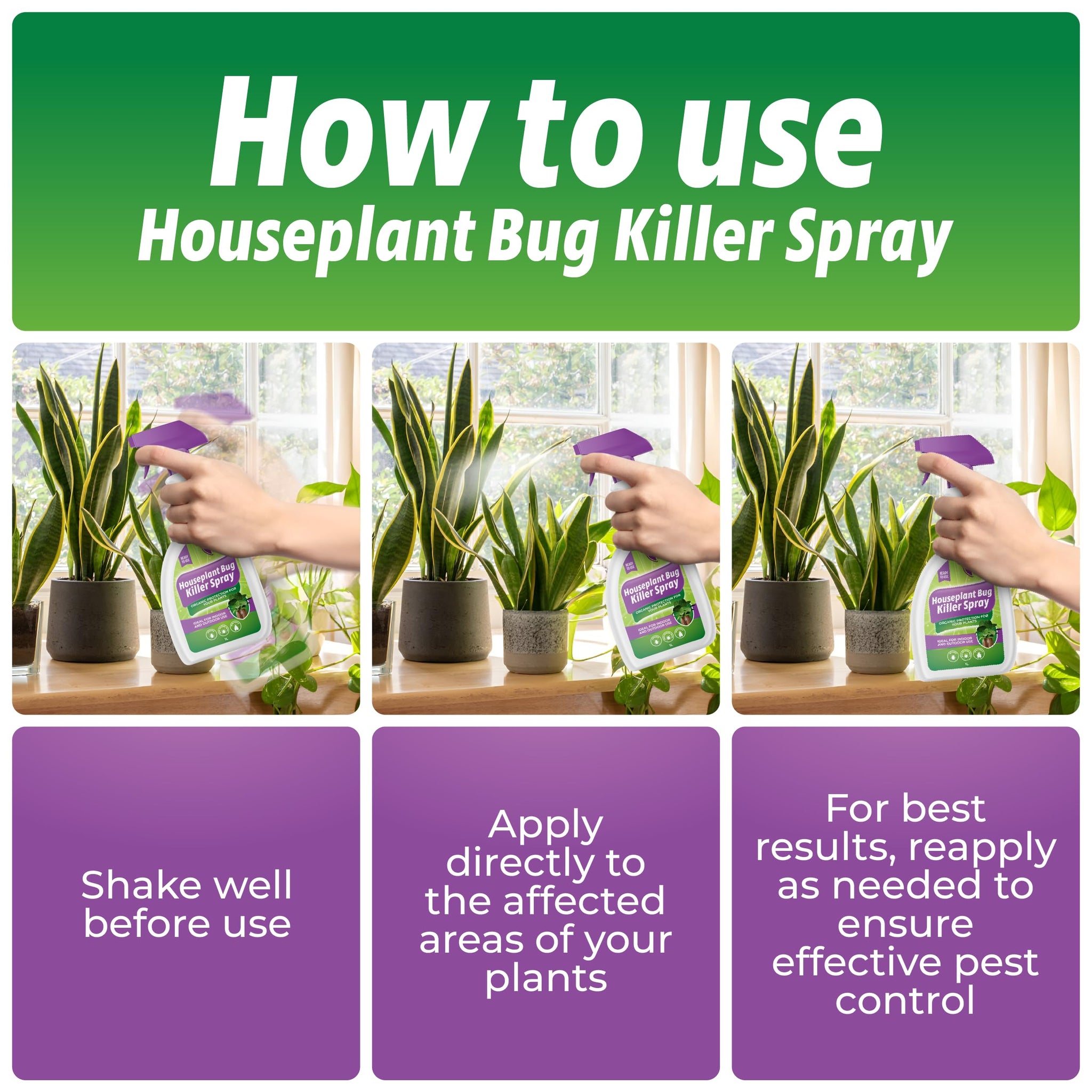 insect killer indoor plants House Plant Bug Killer Spray