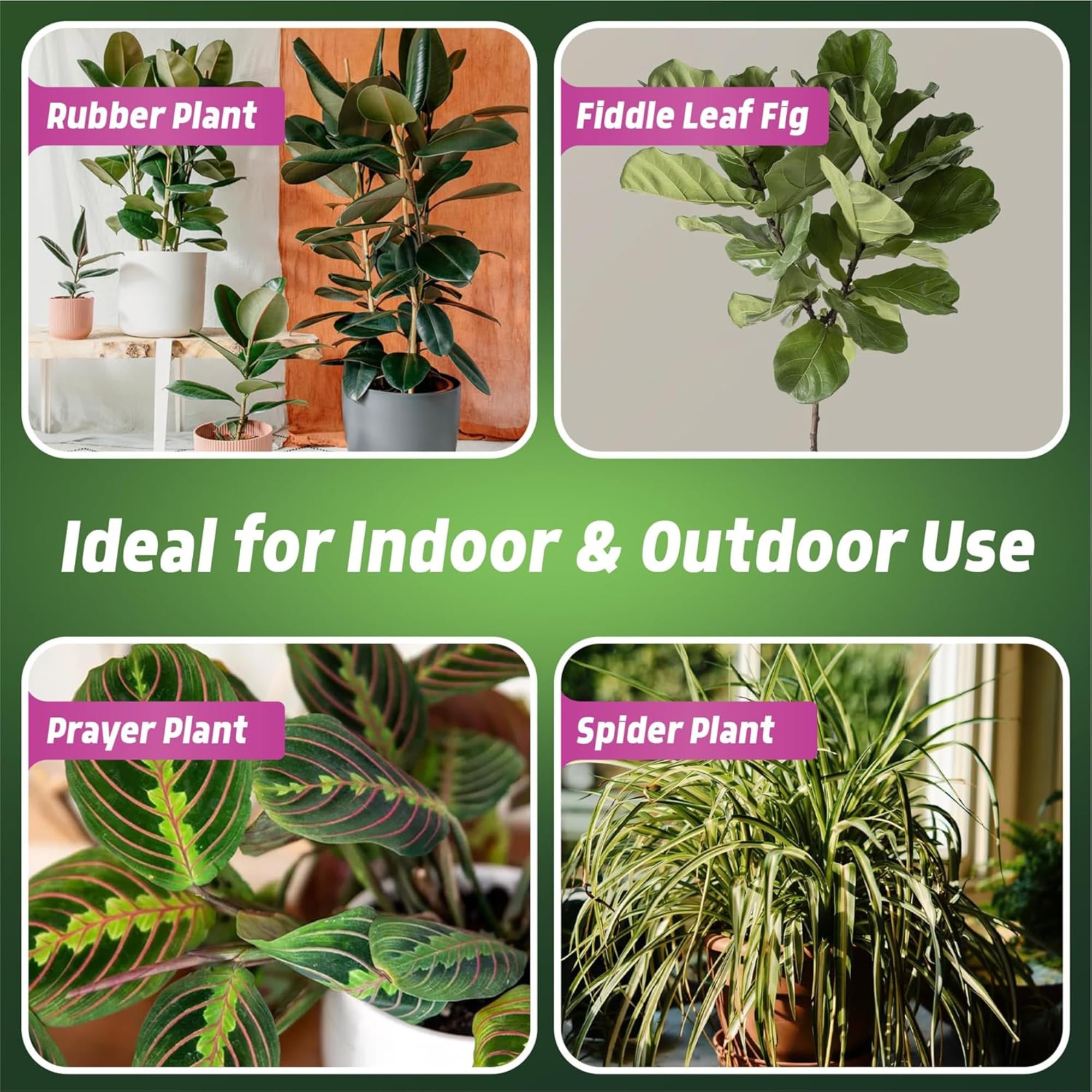 indoor house plant food Indoor House Plant Food Spray 500ml