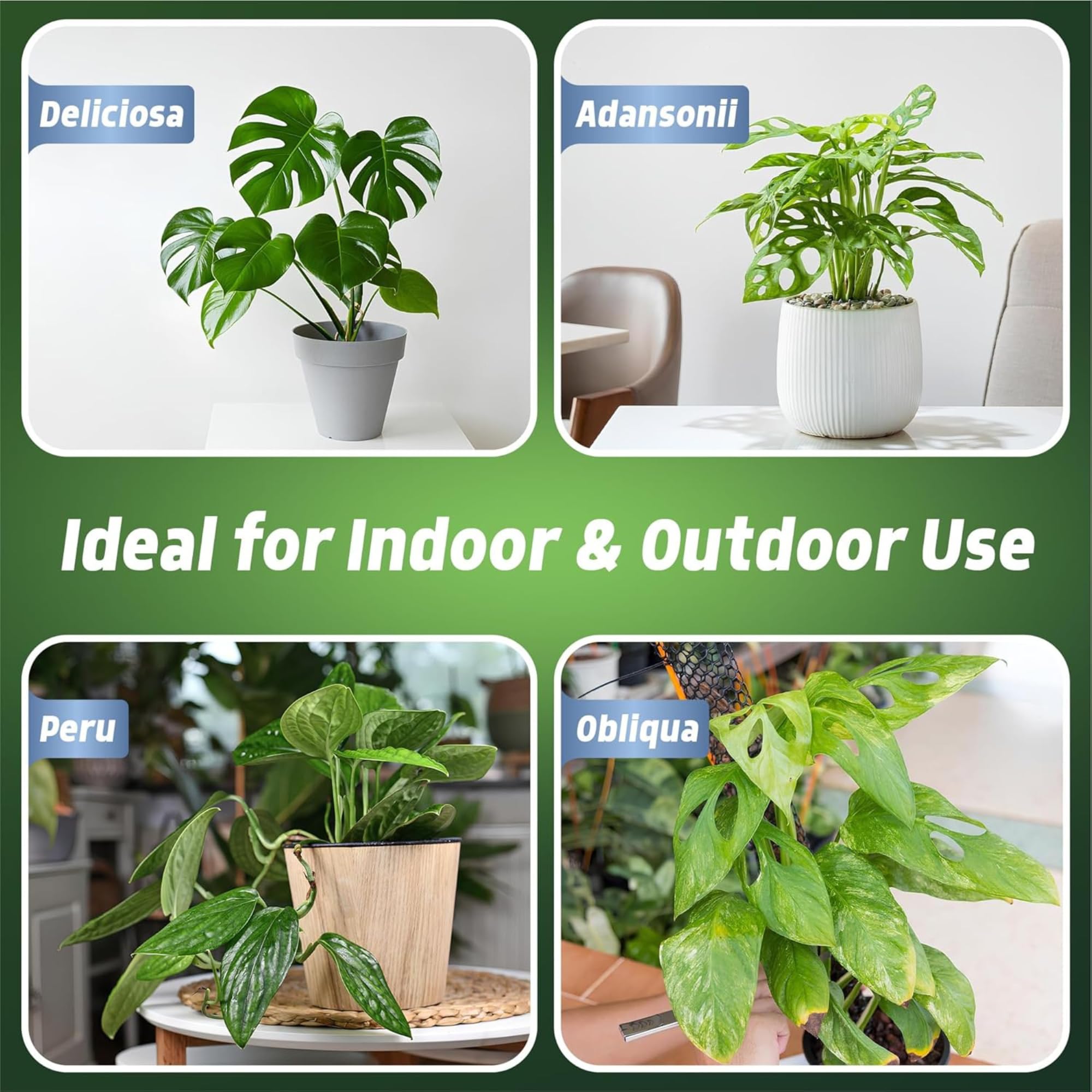 monstera plant food uk Monstera Plant Food Spray 500ml