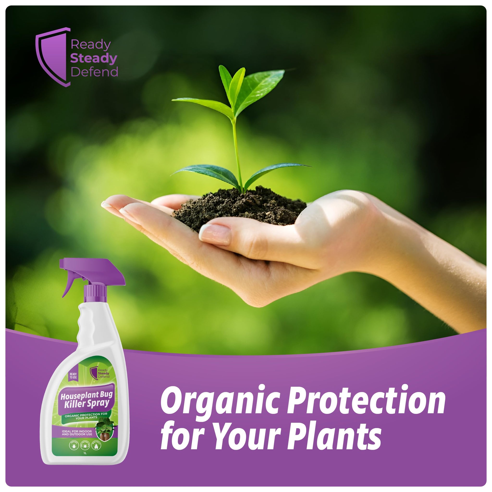 house plant bug killer House Plant Bug Killer Spray