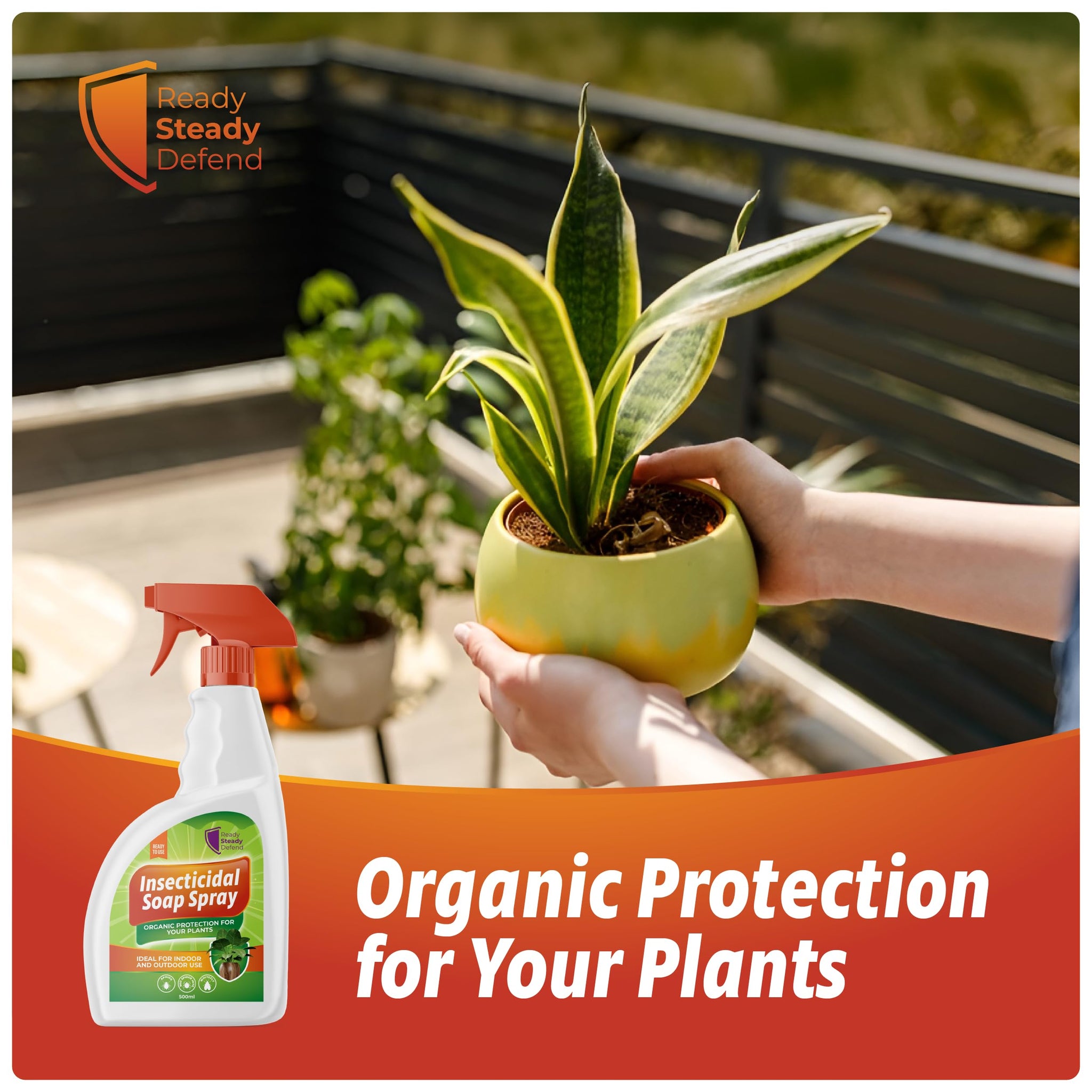 insecticidal soap indoor plants Insecticidal Soap Spray for Plants
