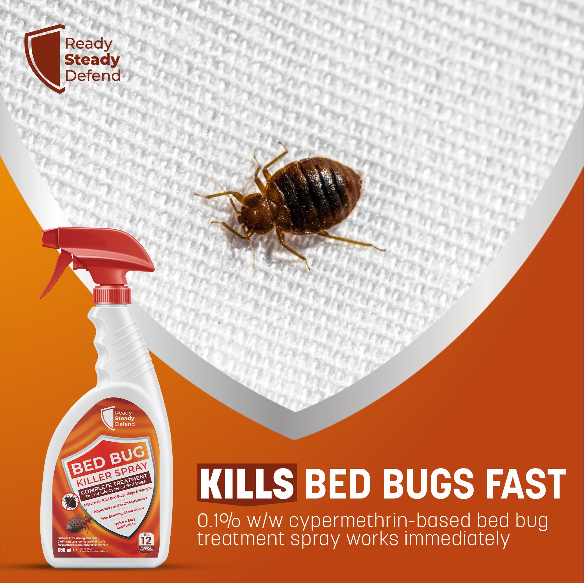 Bed Bug Killer Spray - 650ml