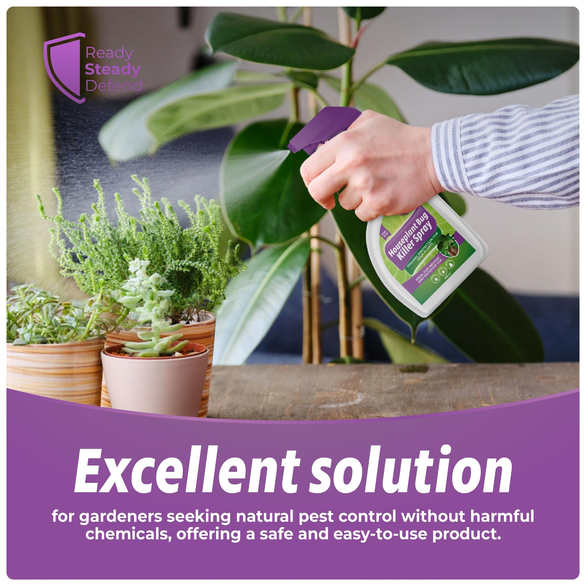 house plant bug control House Plant Bug Killer Spray