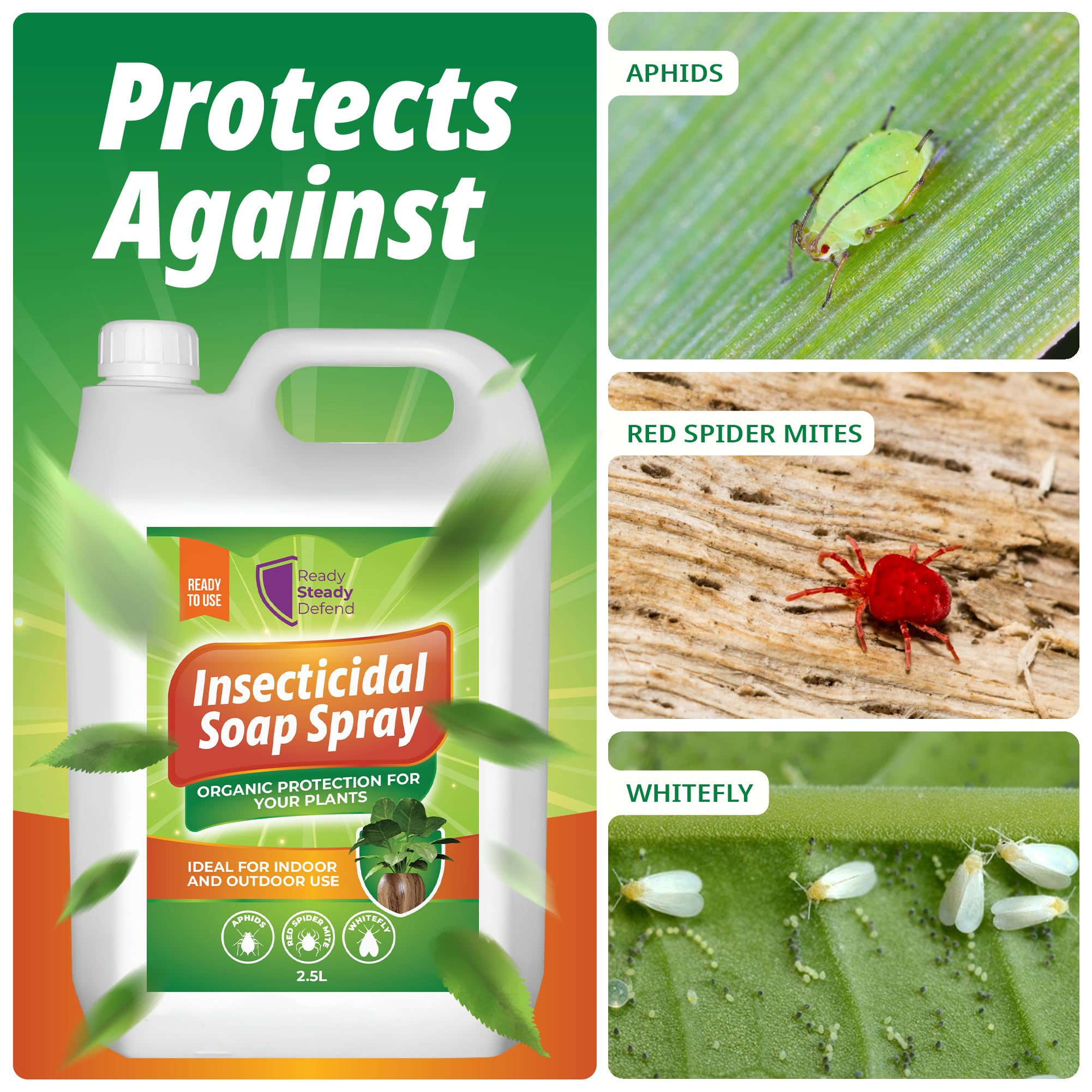 insecticidal soap spray for aphids Insecticidal Soap Spray for Plants 2.5L – Natural Pest Control for Lar