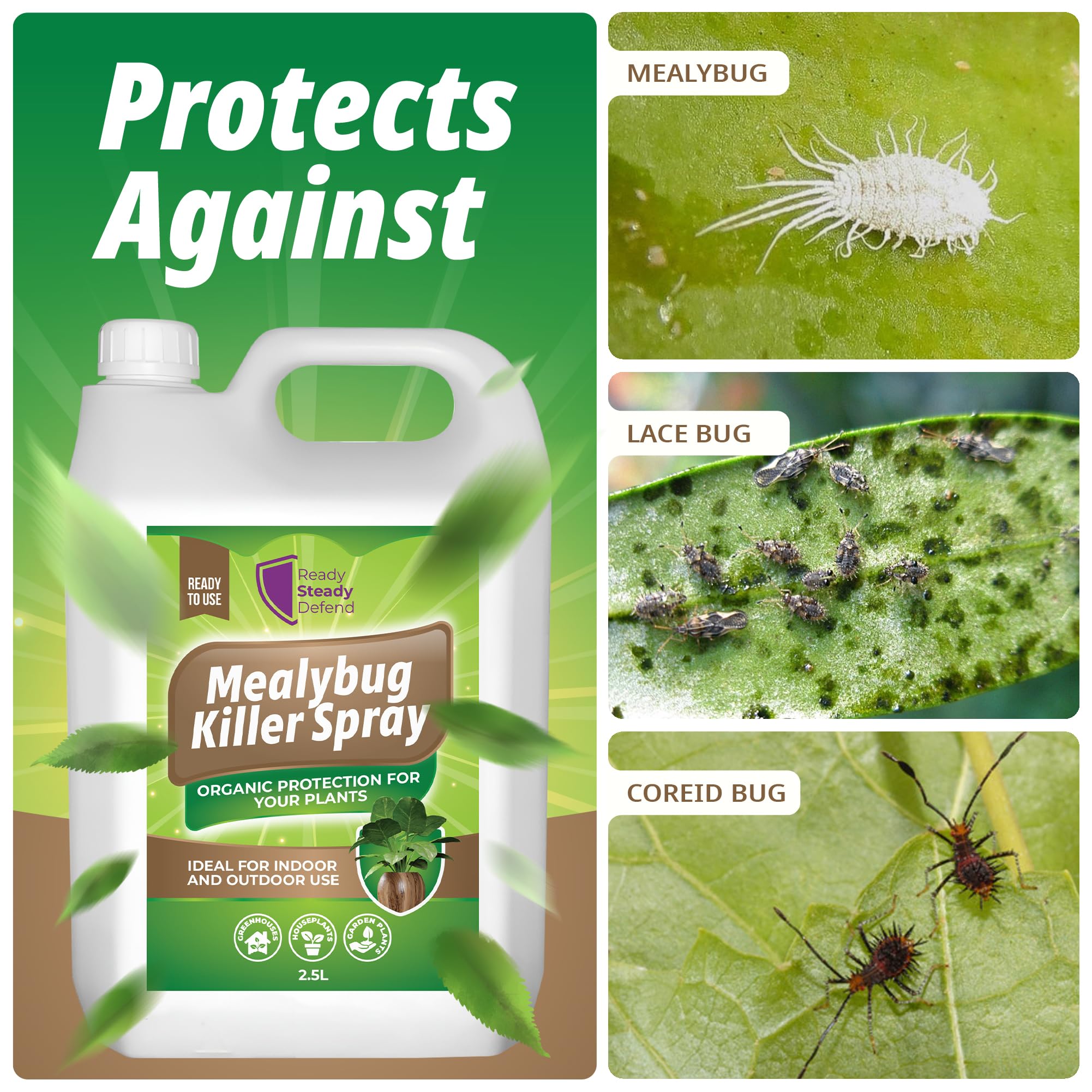 mealy bug spray indoor plant Mealybug Killer Spray 2.5L – Extra-Strength Bug Spray with Insecticida