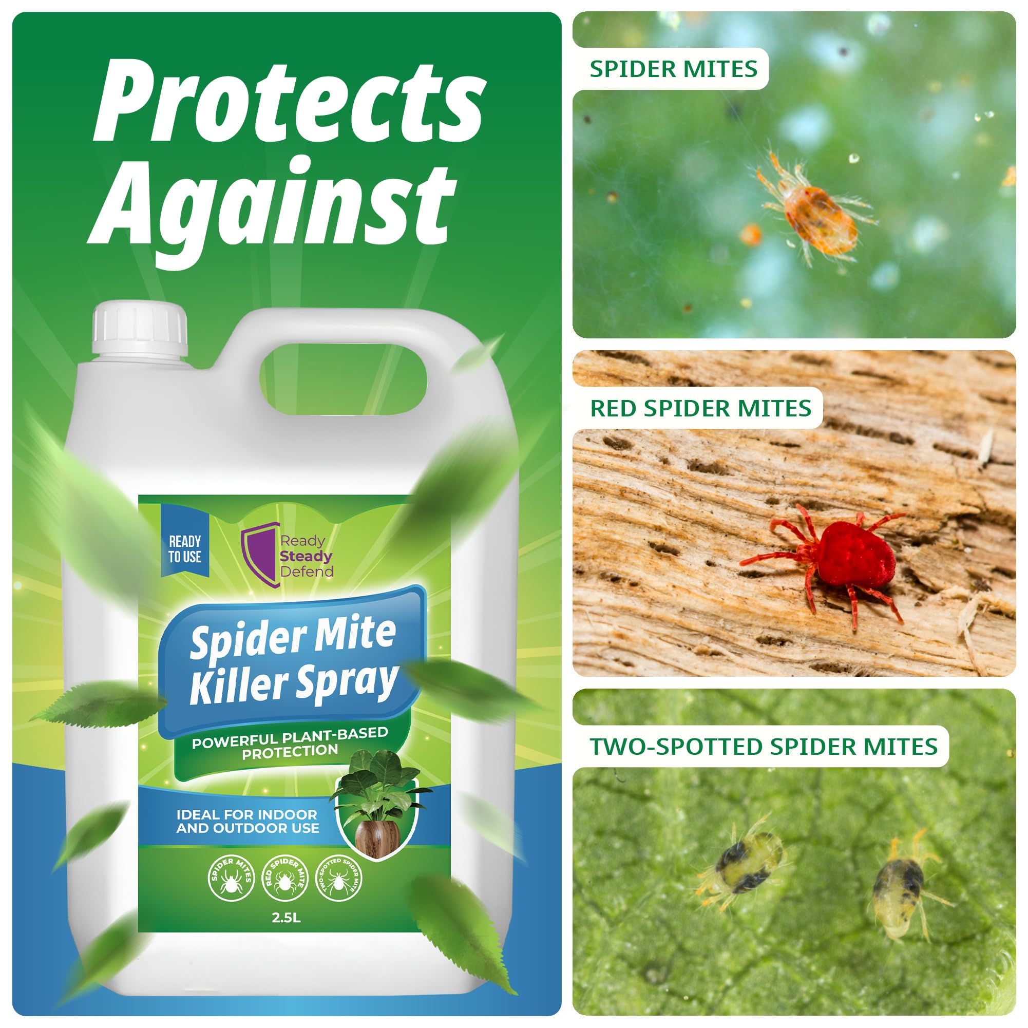 spider mite spray for indoor plants Spider Mite Killer Spray 2.5L | Large Plant Protection