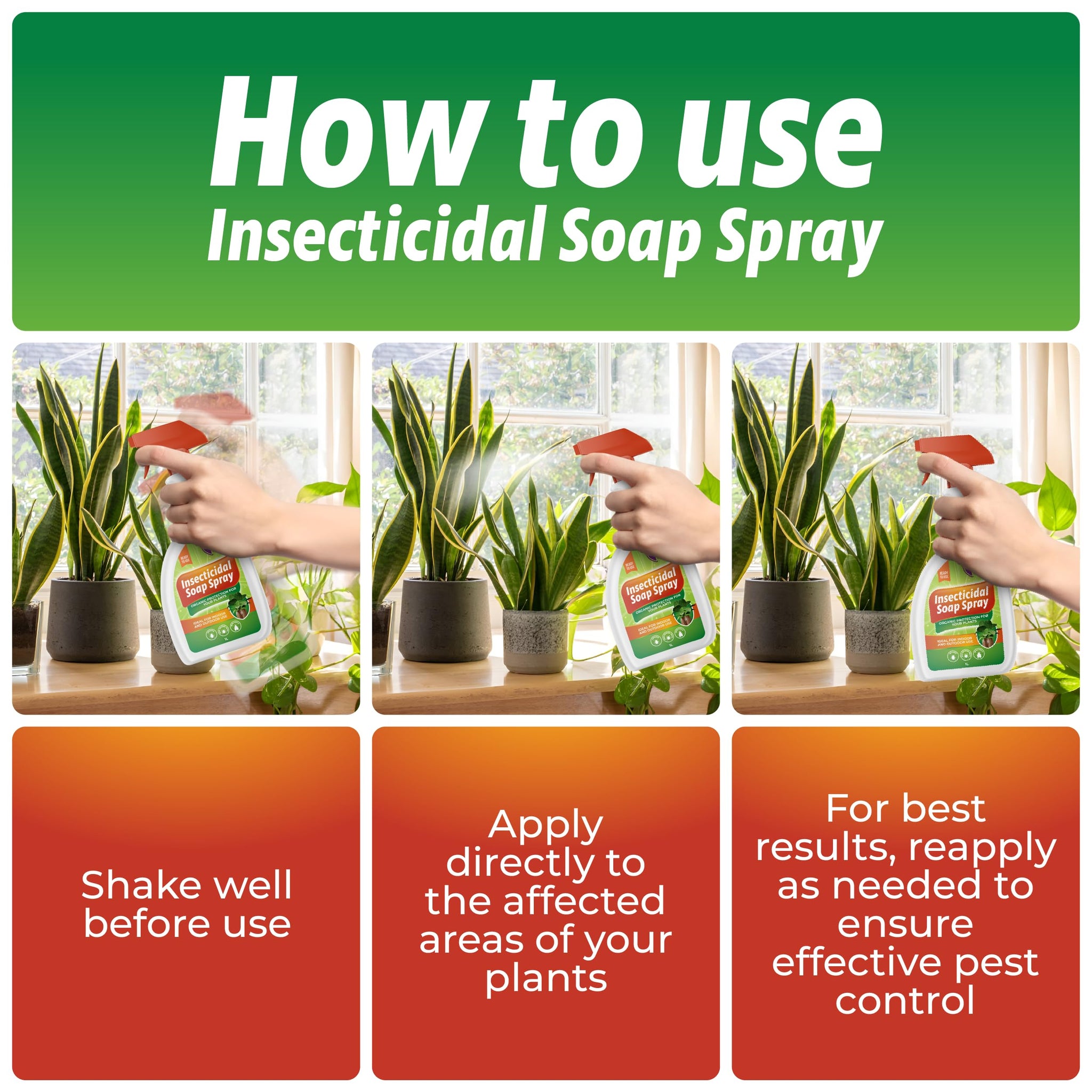best soap for insecticidal spray Insecticidal Soap Spray for Plants