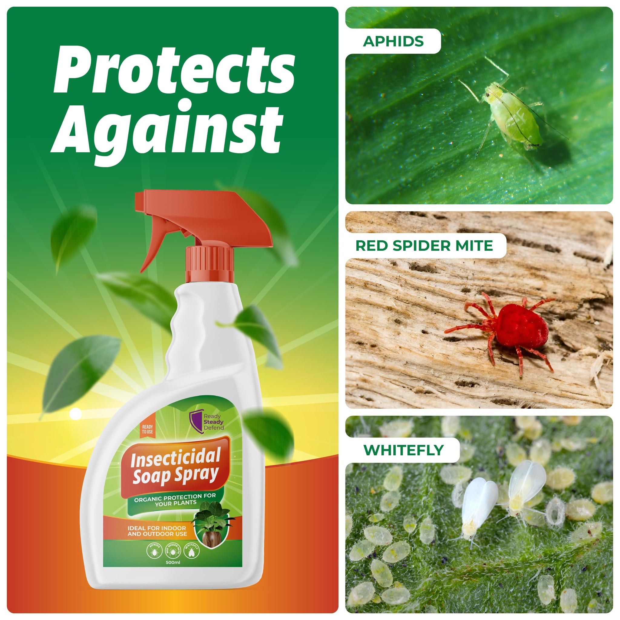 best insecticidal soap for whiteflies Insecticidal Soap Spray for Plants