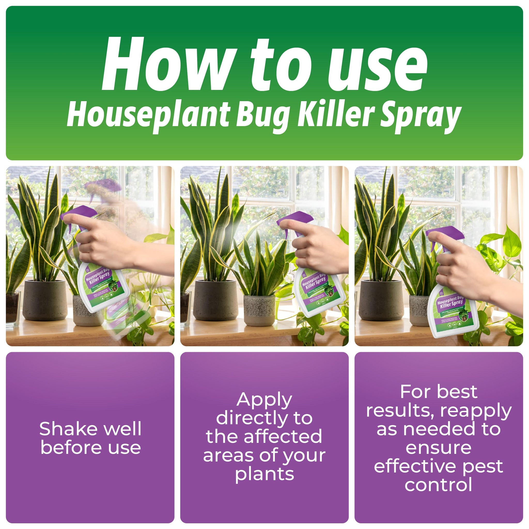 indoor plants insect control House Plant Bug Killer Spray