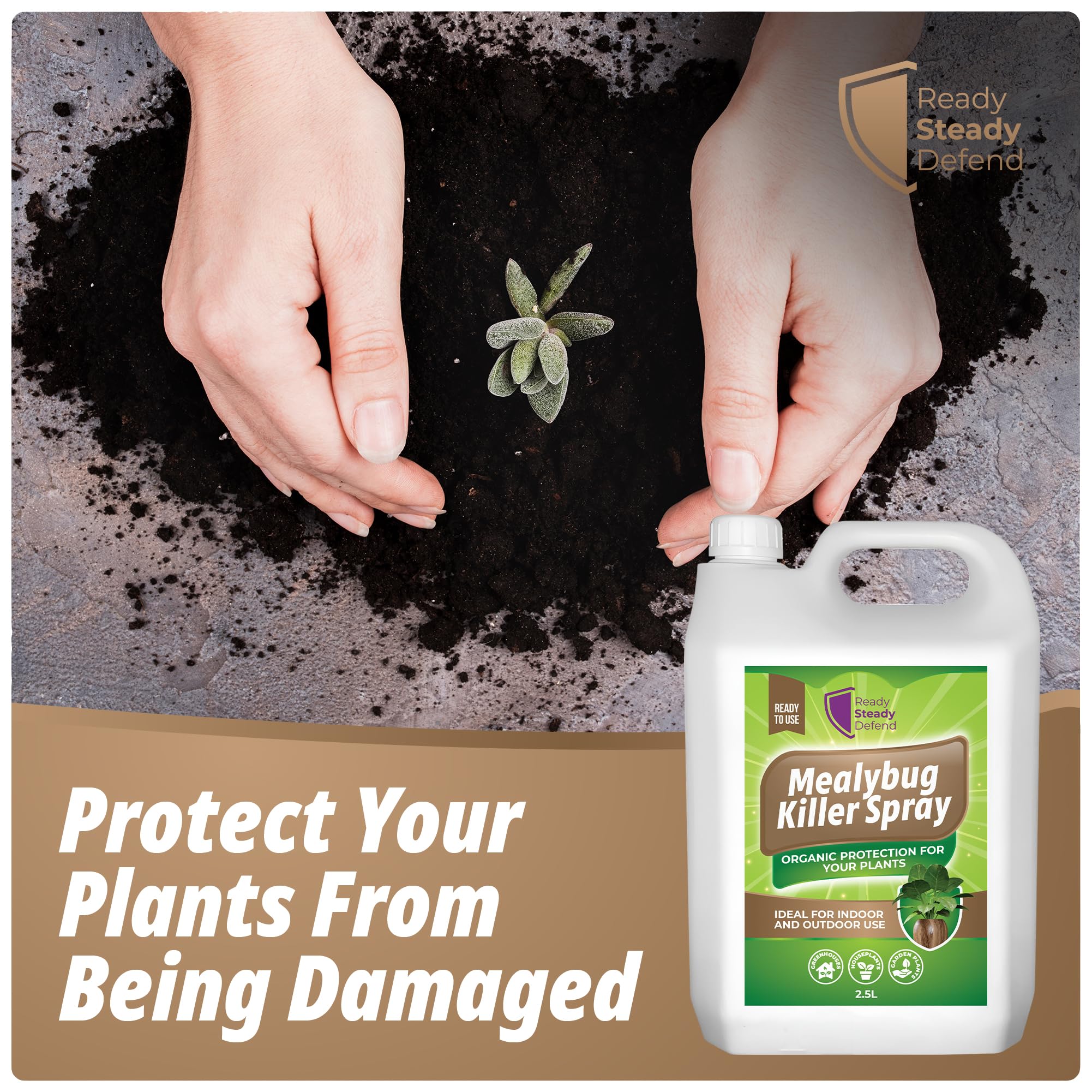 bug spray safe for indoor plants Mealybug Killer Spray 2.5L – Extra-Strength Bug Spray with Insecticida