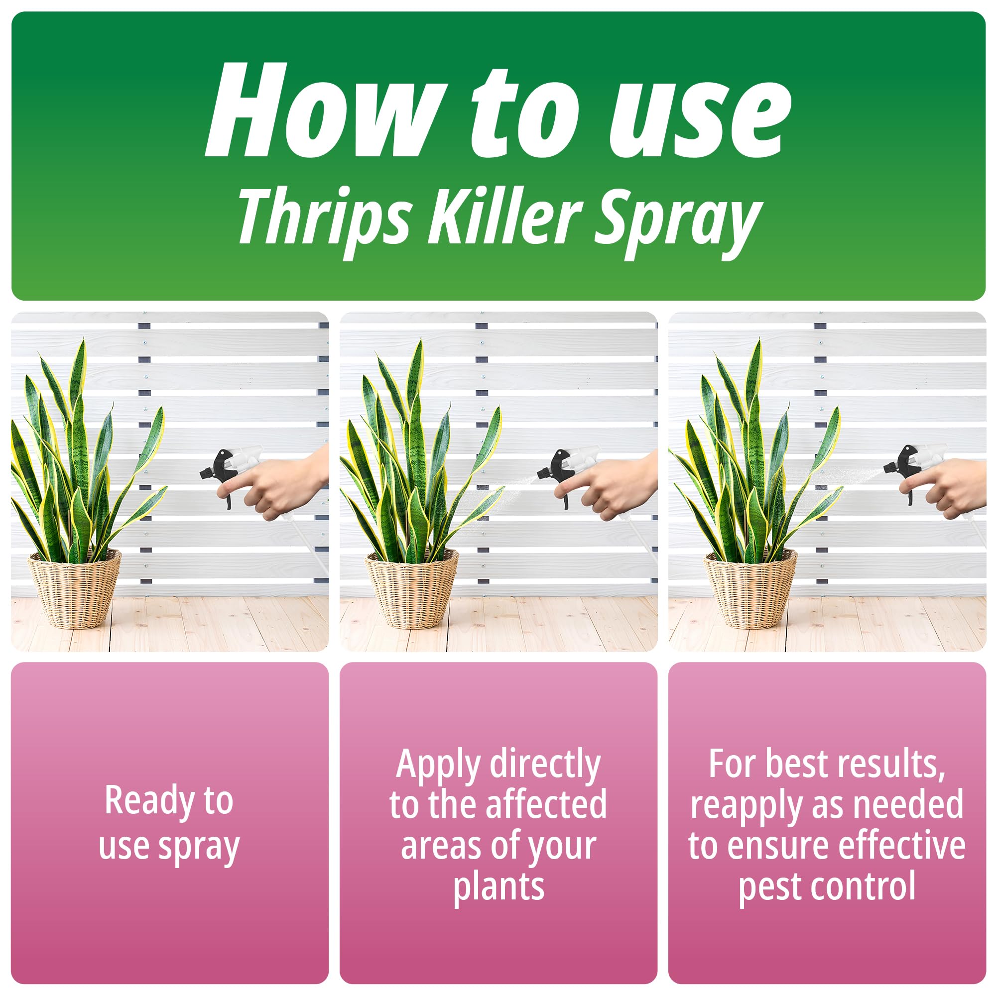spray for aphids on indoor plants Thrips Killer Spray 2.5L – Organic Insecticidal Soap for Plants – Natu