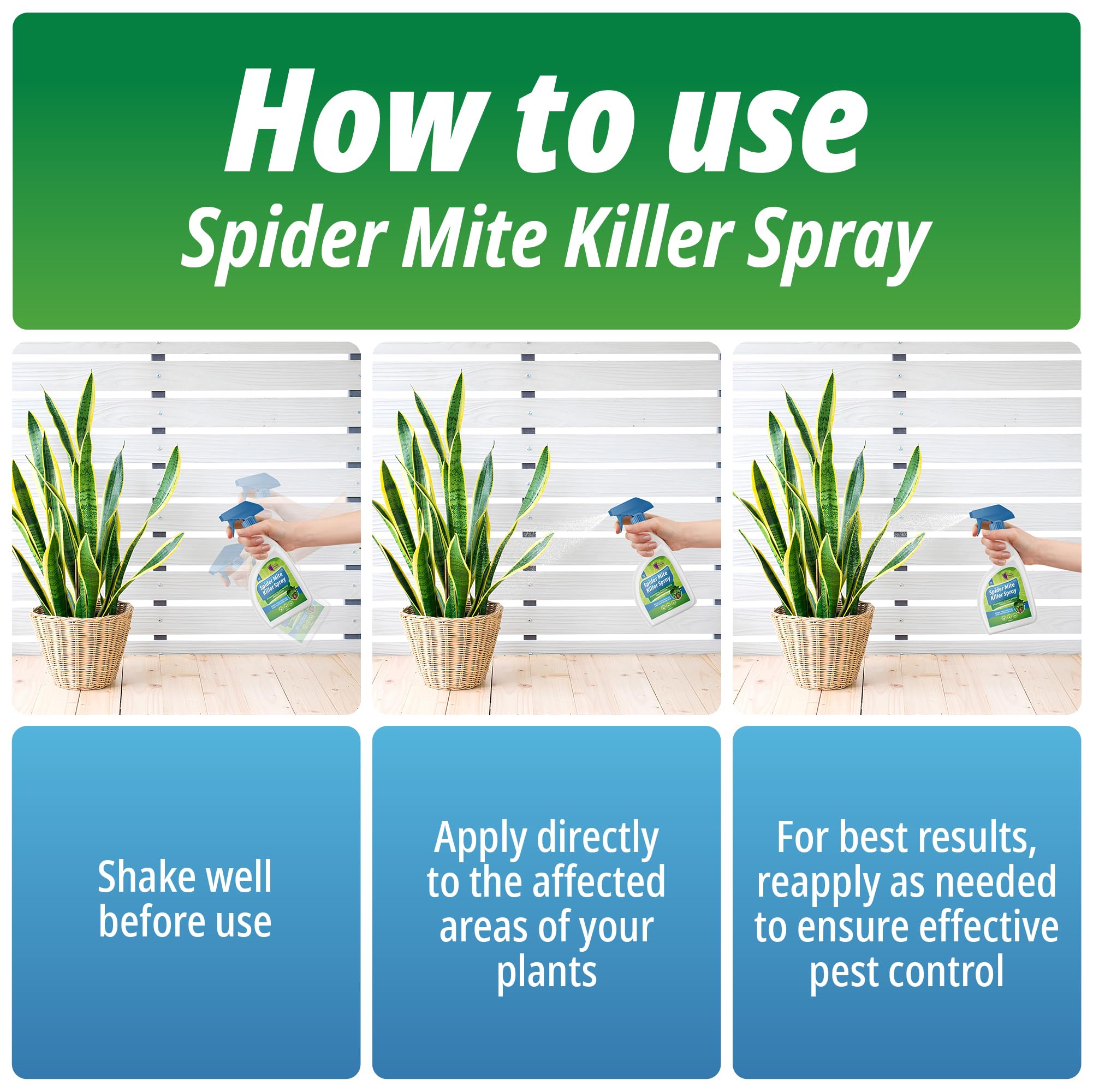 insecticidal soap spider mites Spider Mite Killer Spray for Plants 500ml – Natural Insecticidal Soap