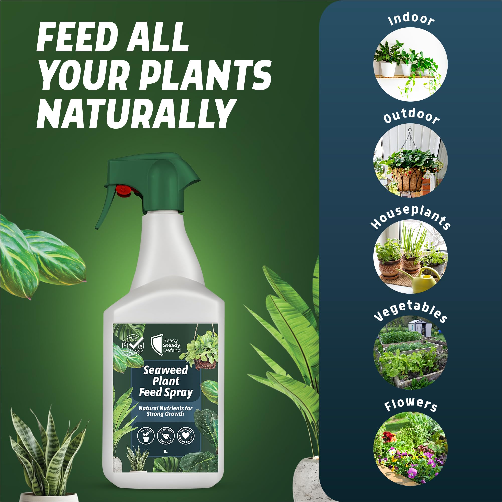 seaweed fertiliser for indoor plants Seaweed Plant Feed Spray 1L