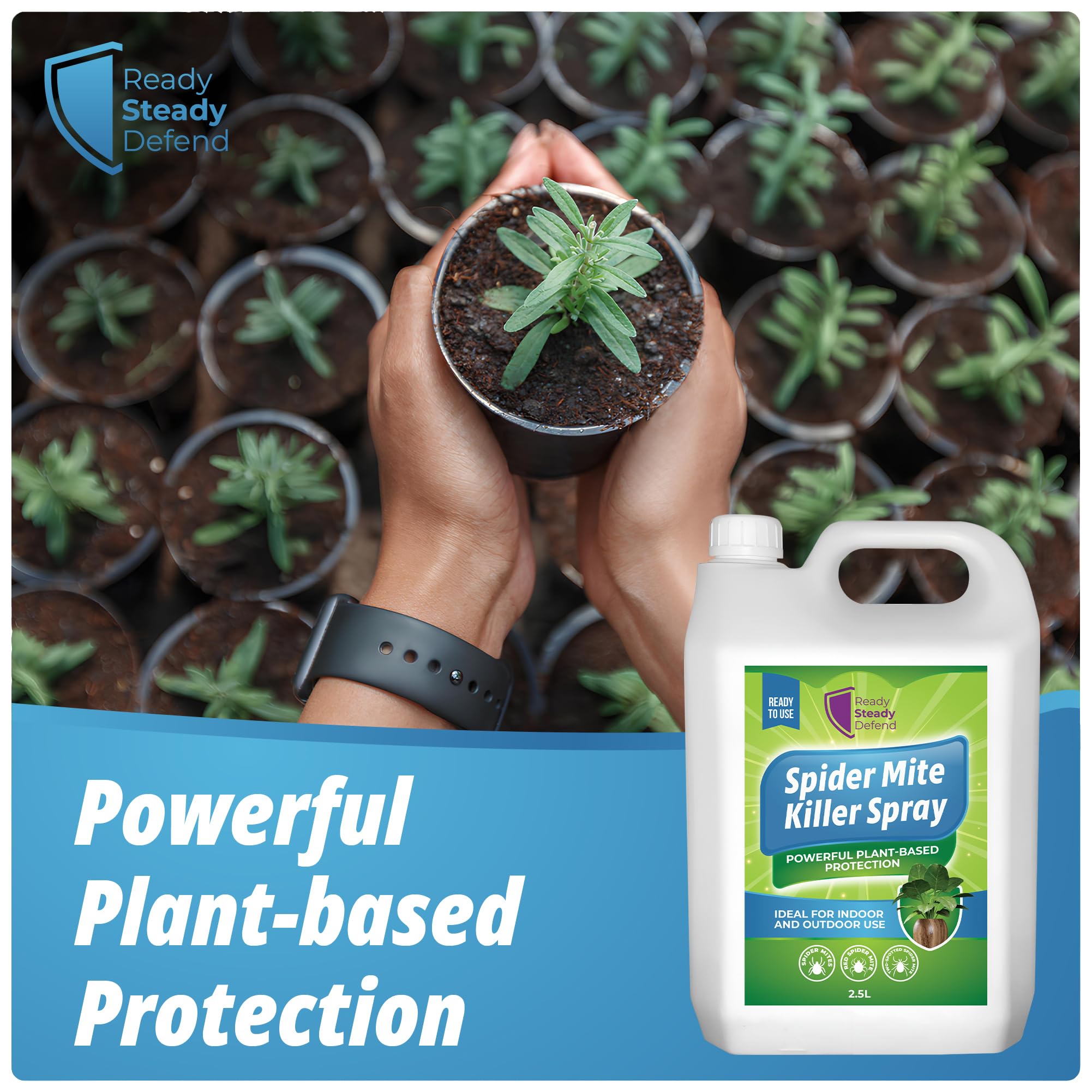 spider mites spray for indoor plants Spider Mite Killer Spray 2.5L | Large Plant Protection