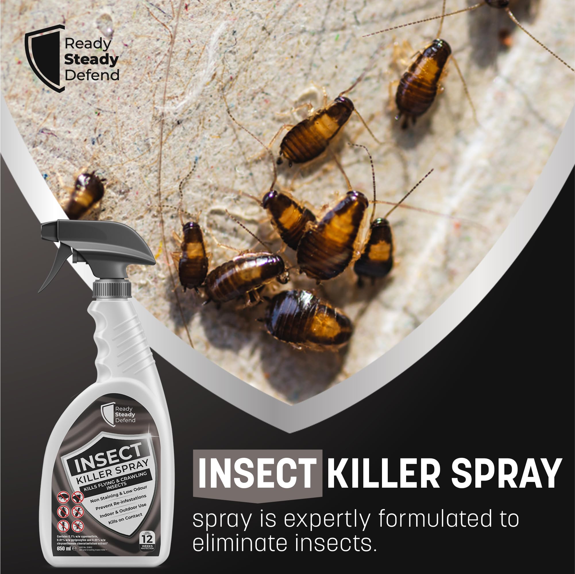 Insect Killer Spray - 650ML