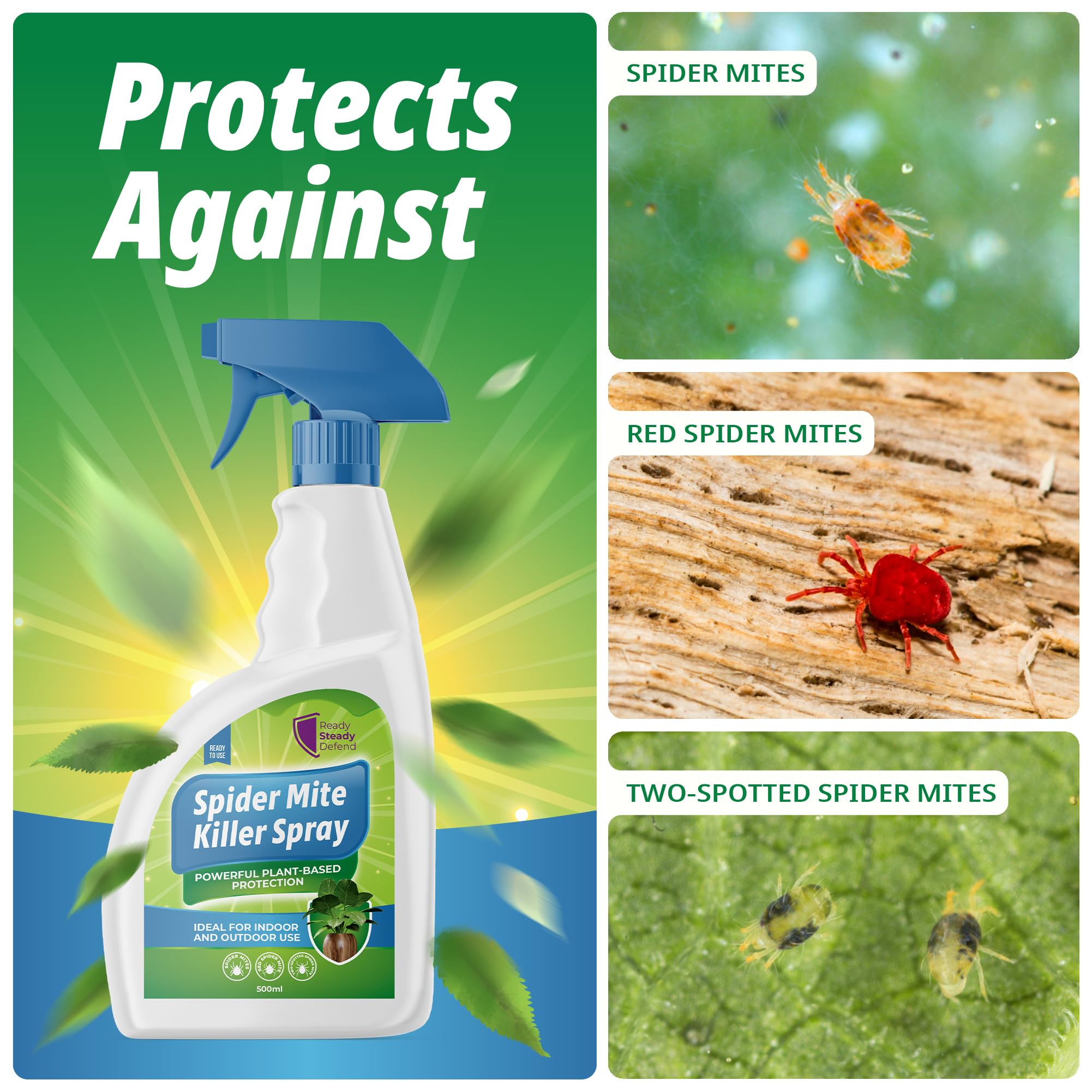 spider mite killer for plants Spider Mite Killer Spray for Plants 500ml – Natural Insecticidal Soap