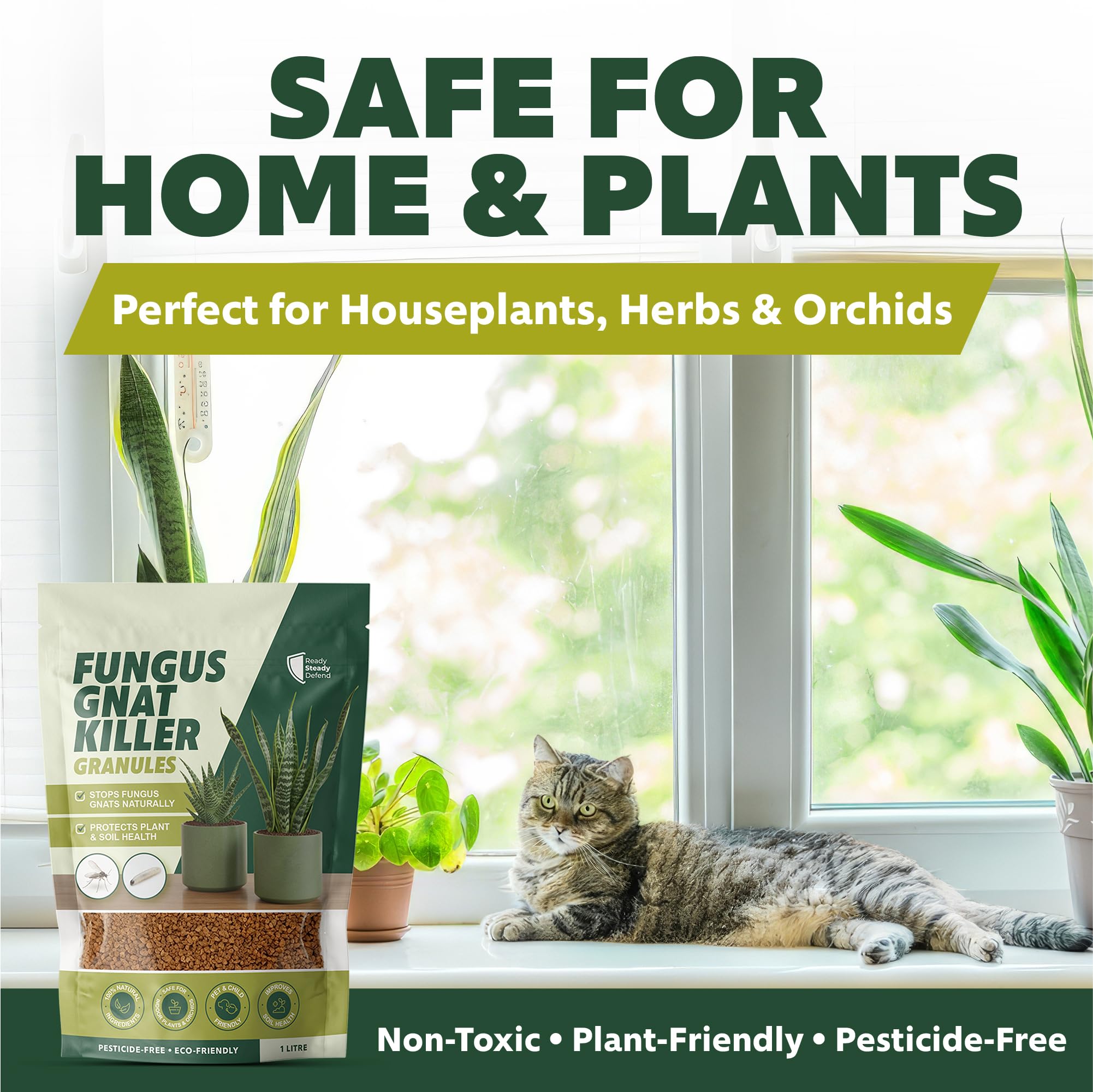 pesticide for indoor plants Fungus Gnat Control Granules for Indoor Plants