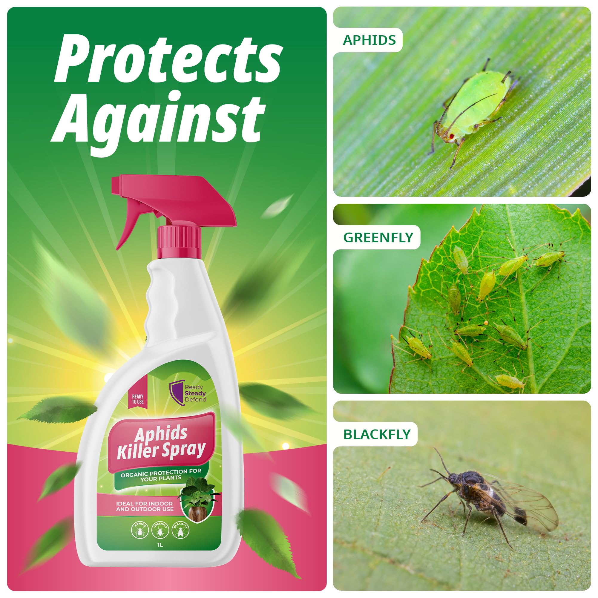 insecticidal soap aphids Aphids Killer Spray 1L – Insecticidal Soap Spray for Plants – Kills Gr