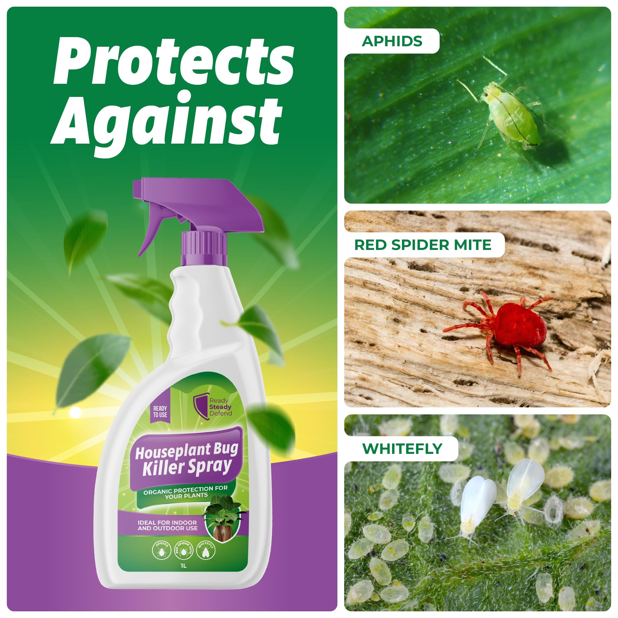 house plant bug spray House Plant Bug Killer Spray