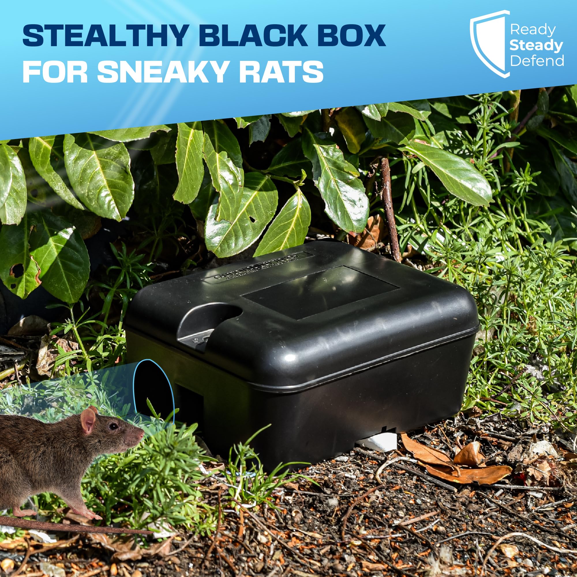 Rat Box & Trap Kit - Indoor & Outdoor Rat Trap and Box