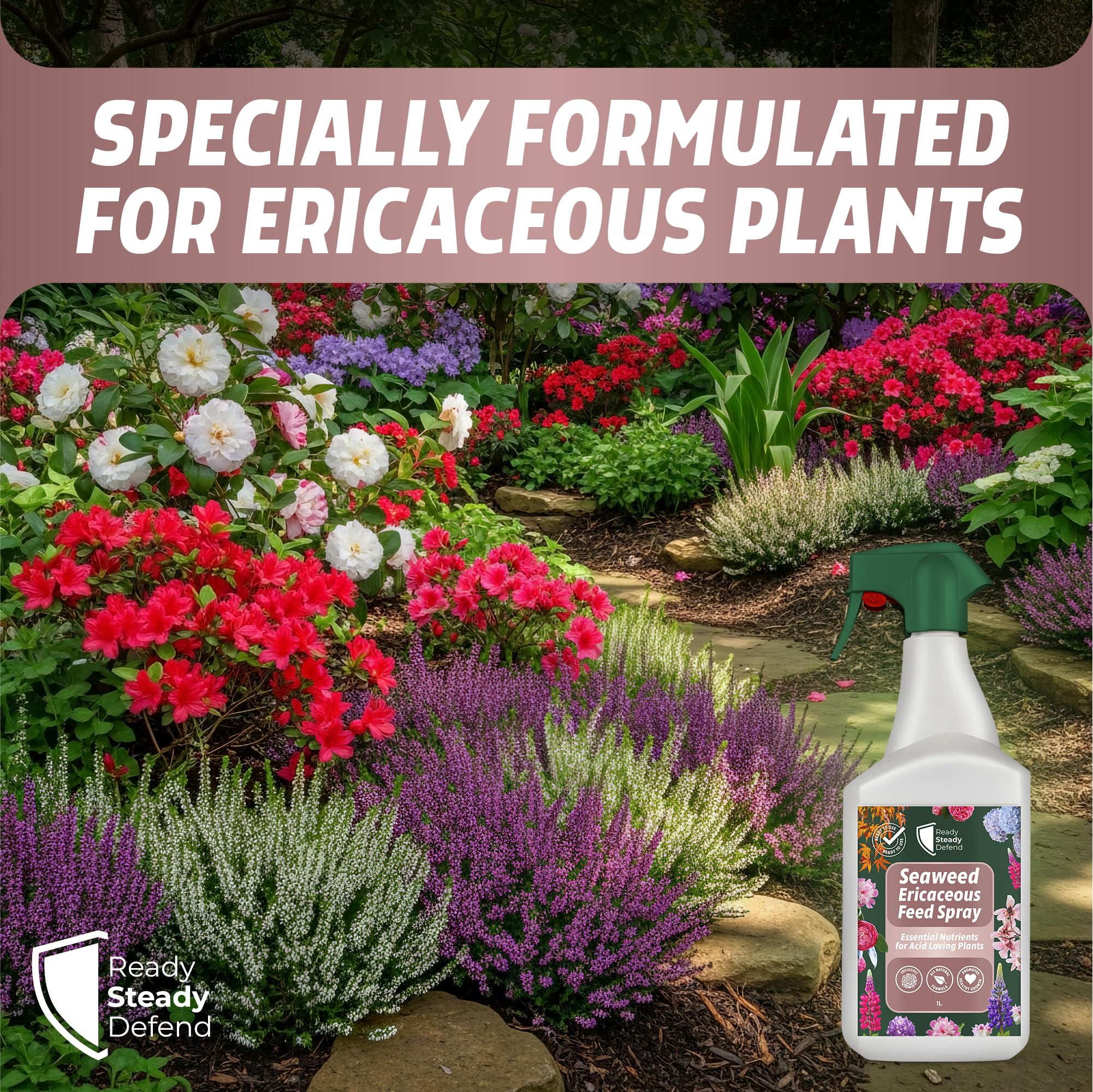 seaweed spray for garden Ericaceous Feed Spray 1L
