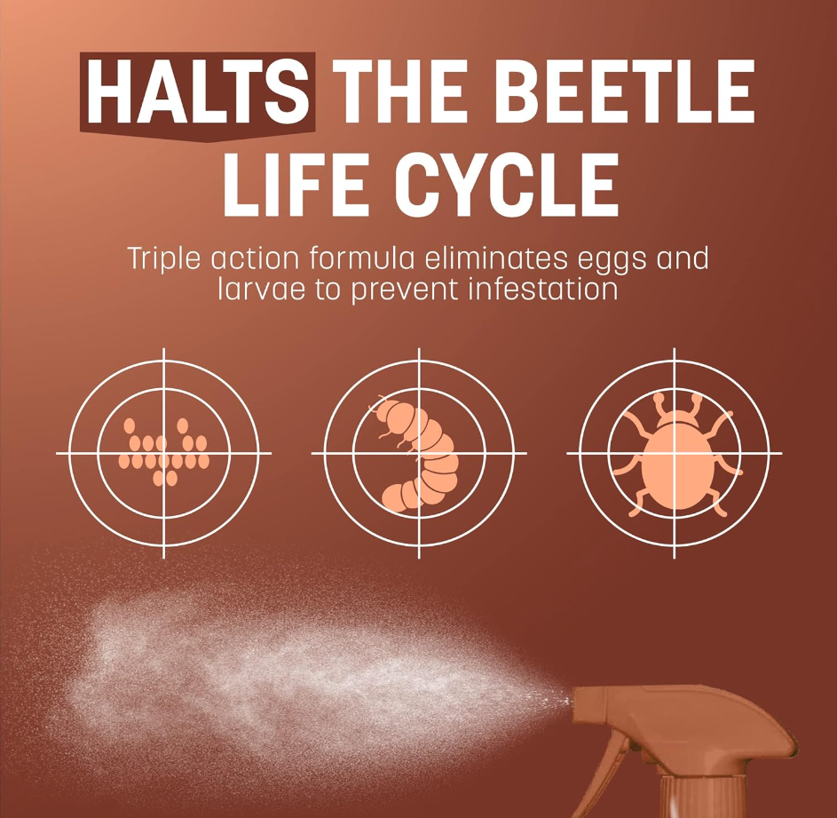 Complete Carpet Beetle Elimination Bundle