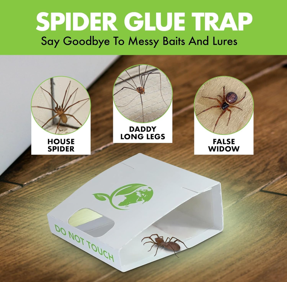 Spiders & Crawling Insect Killer Traps (Pack of 30)