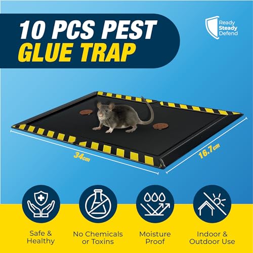 Pest Glue Traps (Pack of 5)