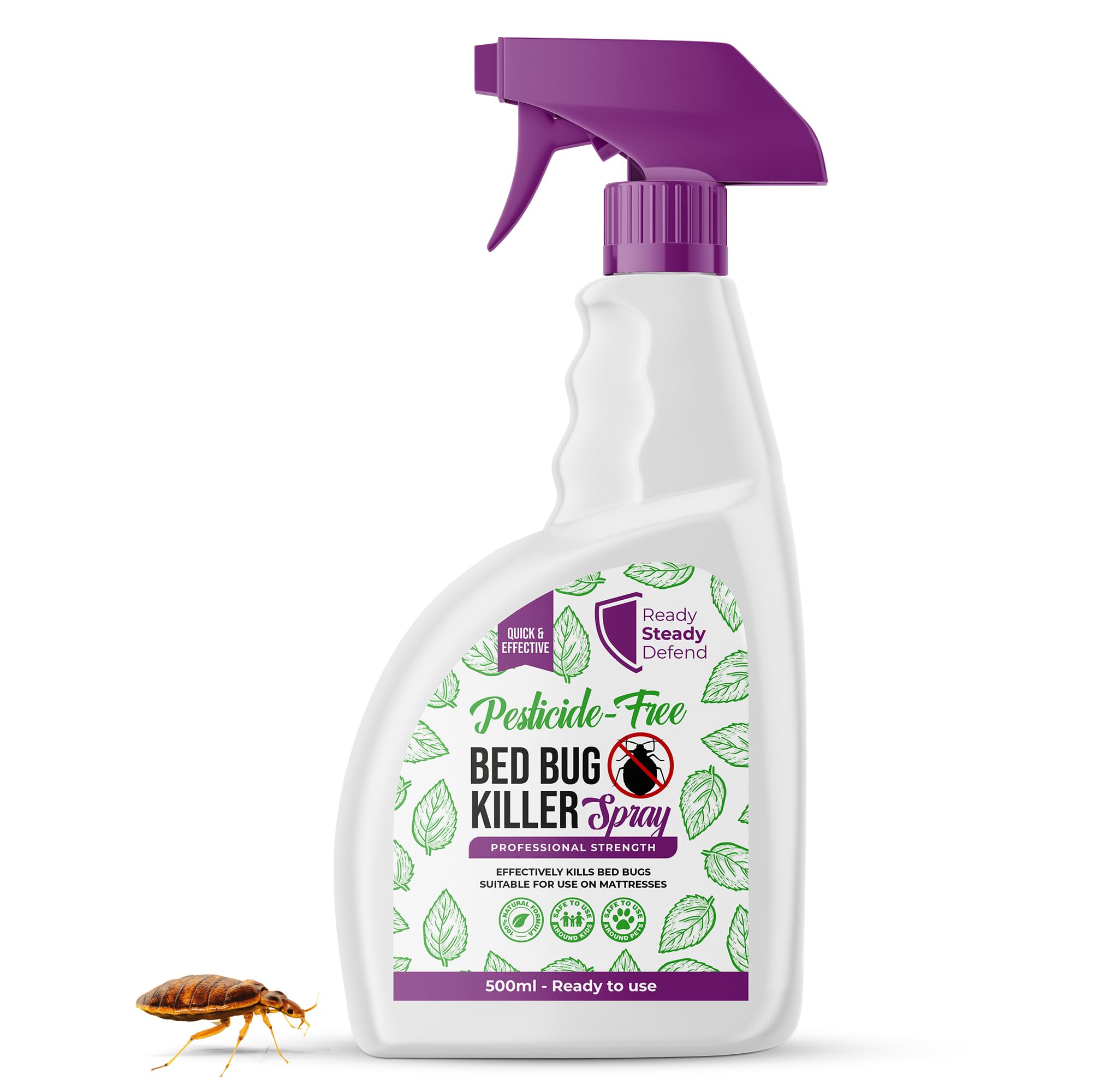 Bed Bug Killer Spray (500ml)